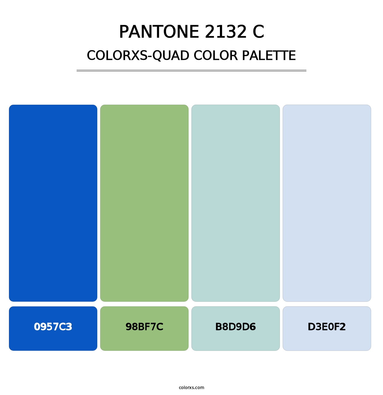PANTONE 2132 C - Colorxs Quad Palette
