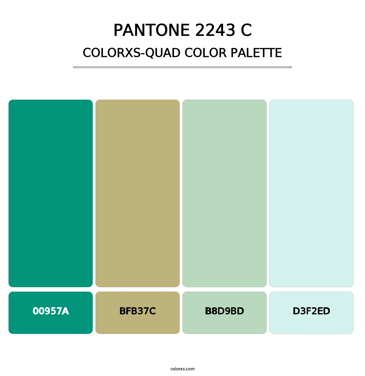 PANTONE 2243 C - Colorxs Quad Palette
