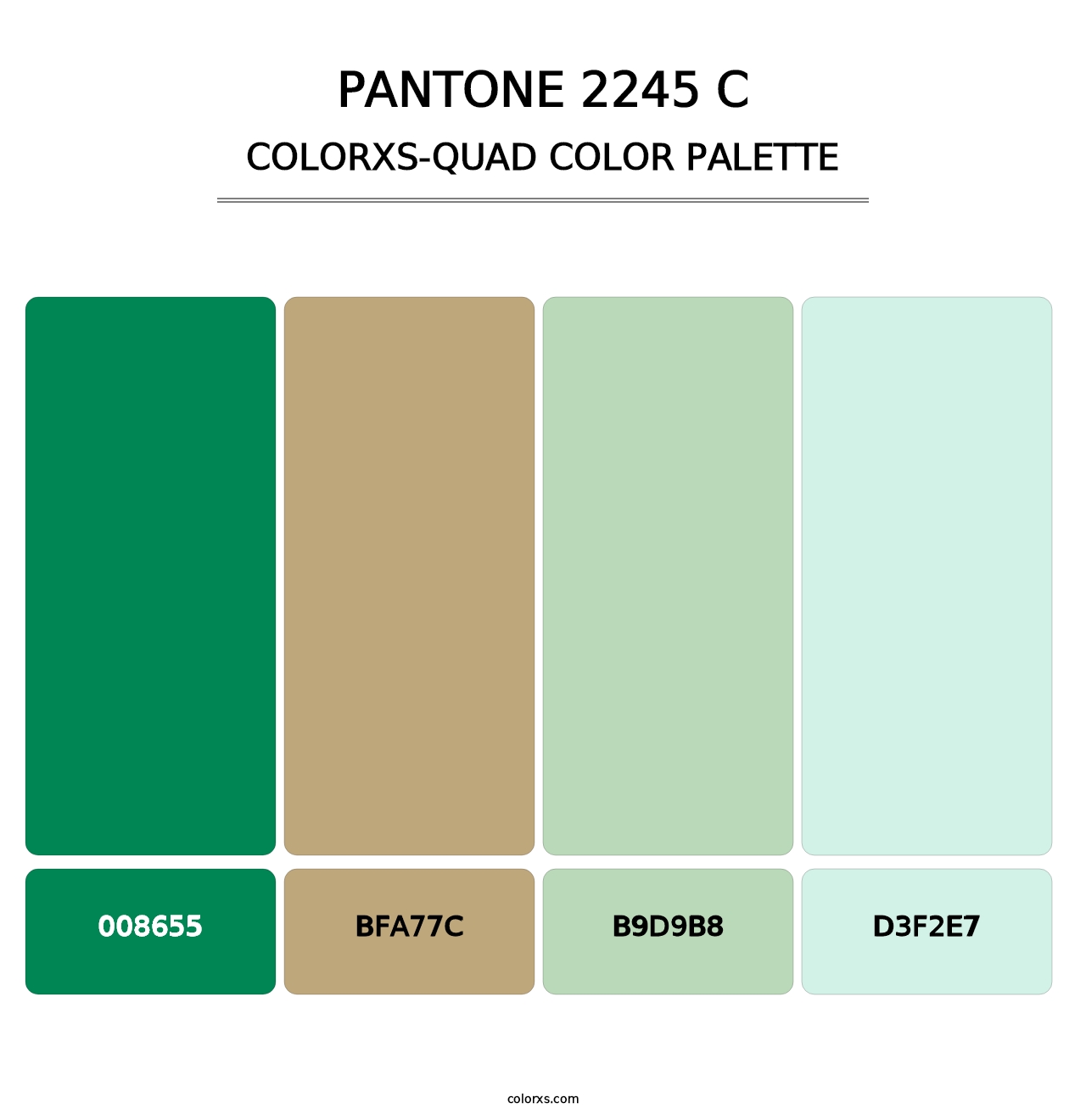 PANTONE 2245 C - Colorxs Quad Palette