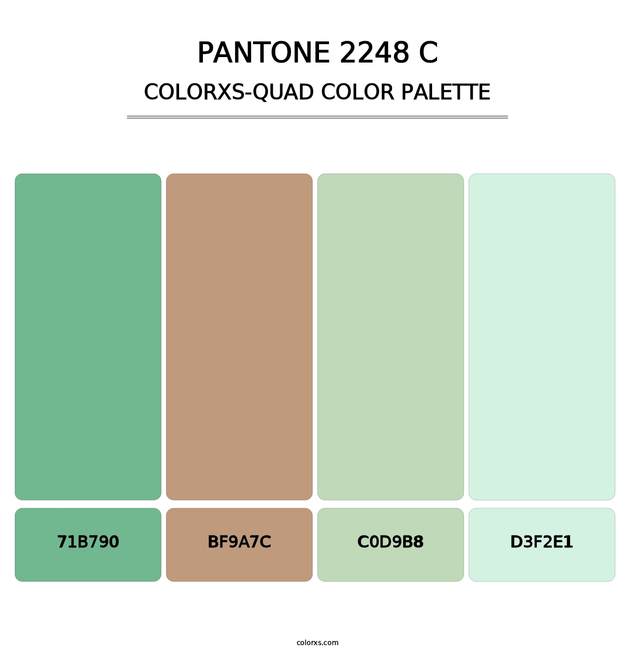 PANTONE 2248 C - Colorxs Quad Palette
