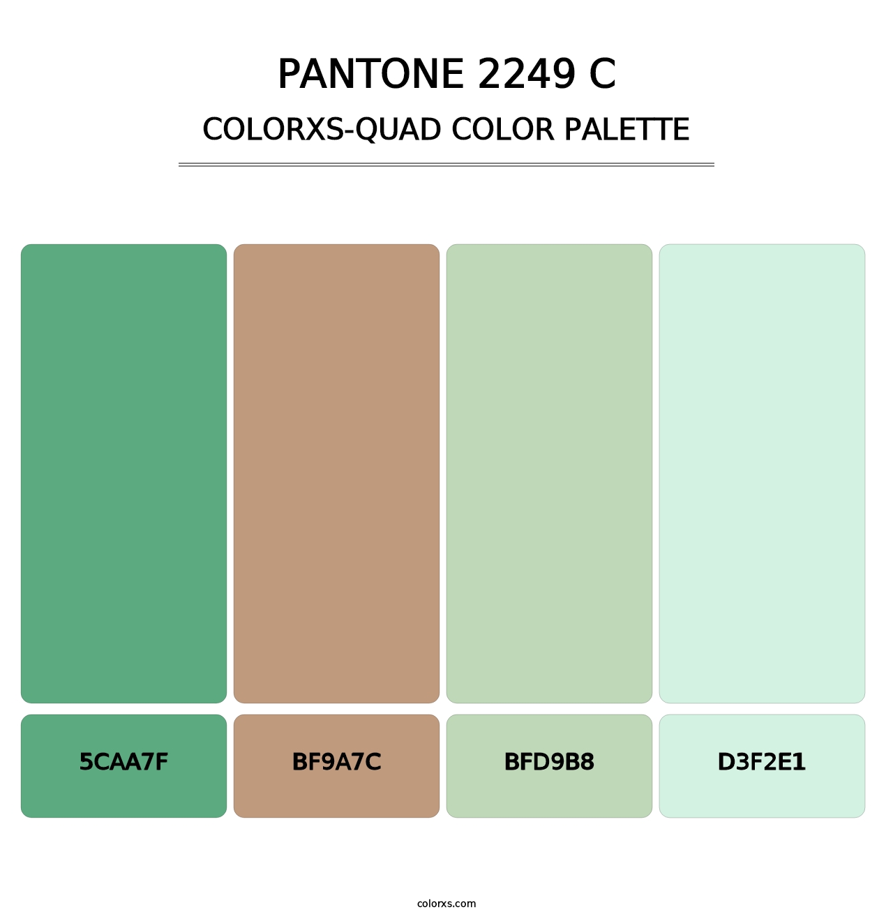 PANTONE 2249 C - Colorxs Quad Palette