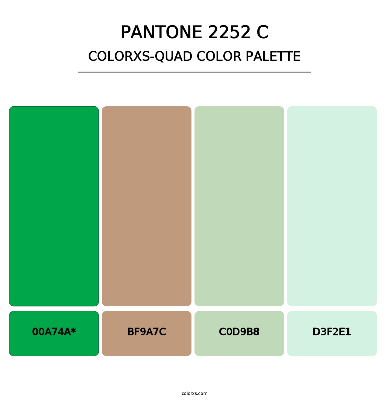 PANTONE 2252 C - Colorxs Quad Palette