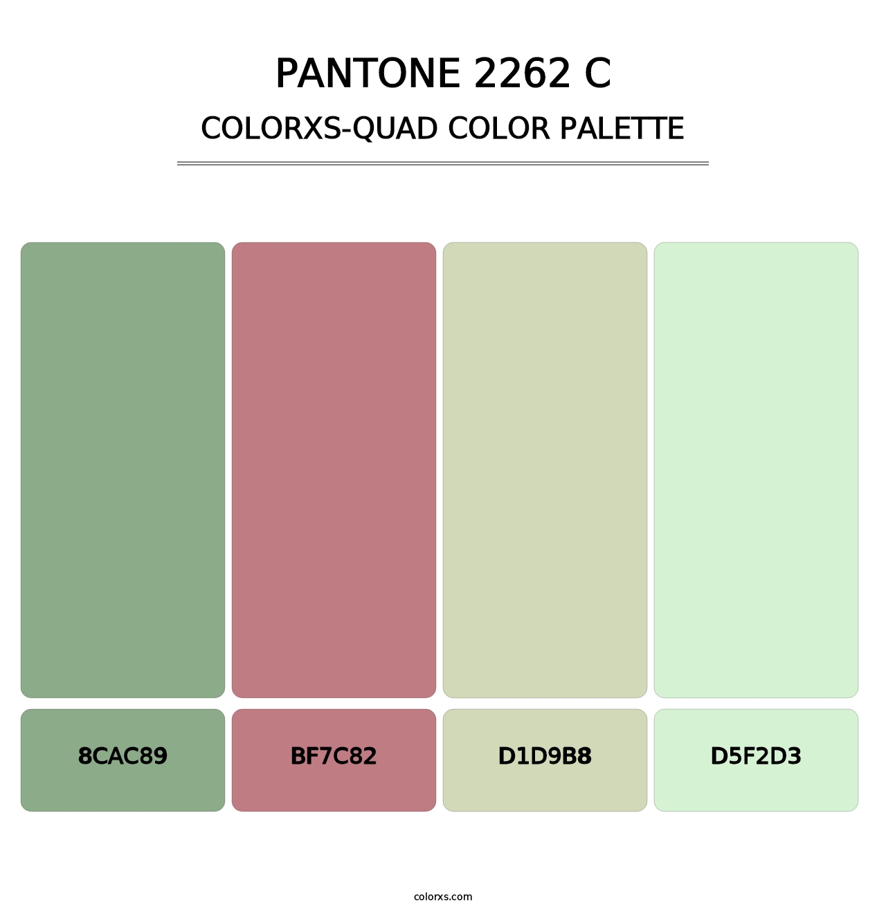PANTONE 2262 C - Colorxs Quad Palette