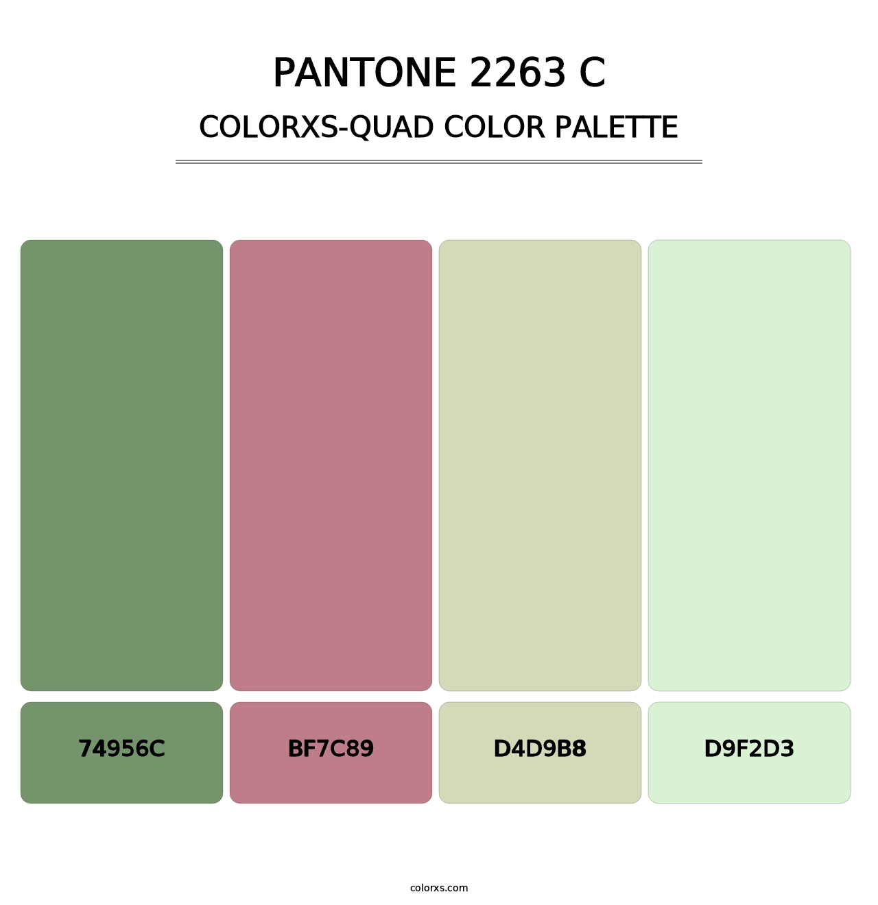 PANTONE 2263 C - Colorxs Quad Palette
