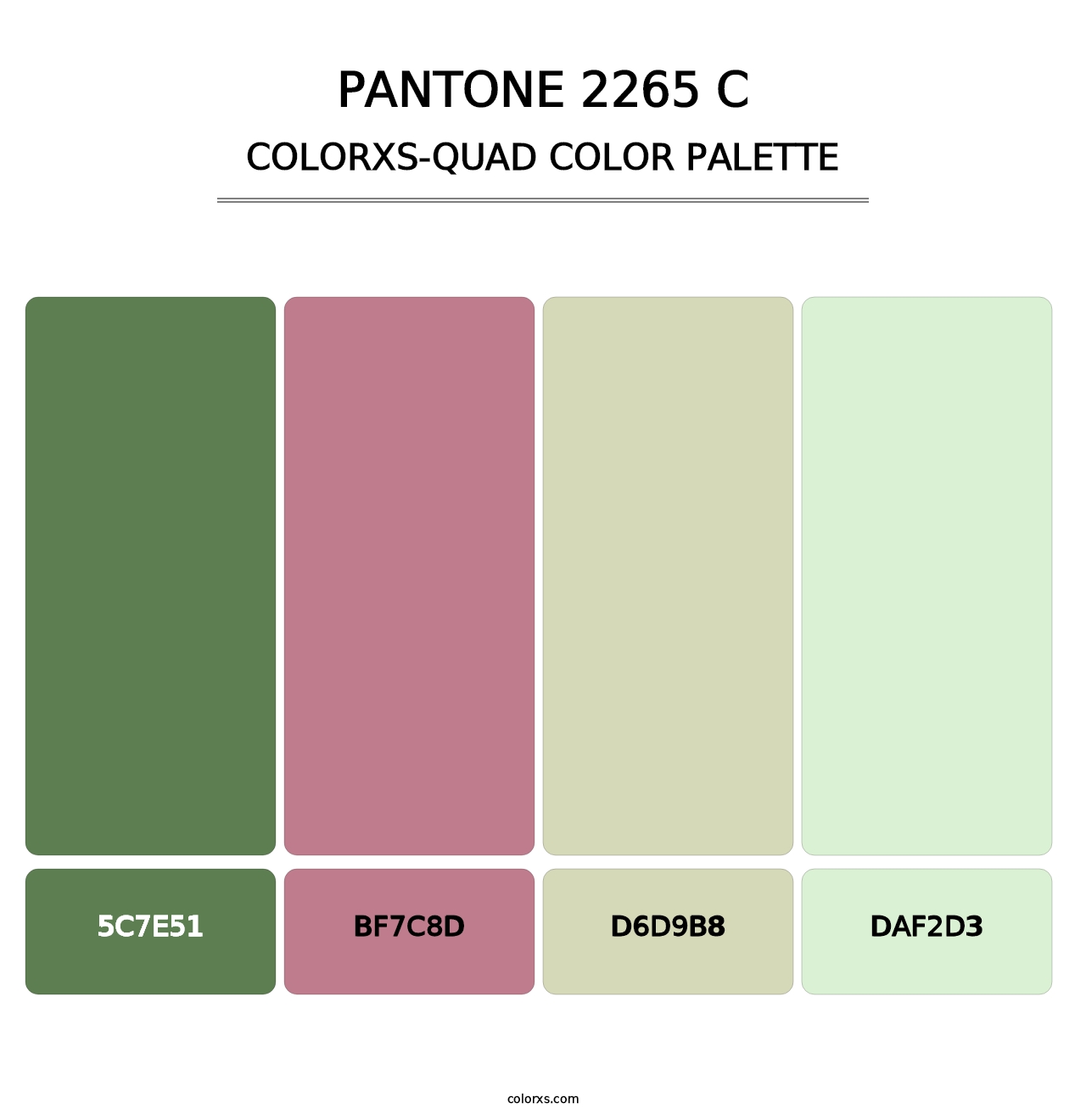 PANTONE 2265 C - Colorxs Quad Palette