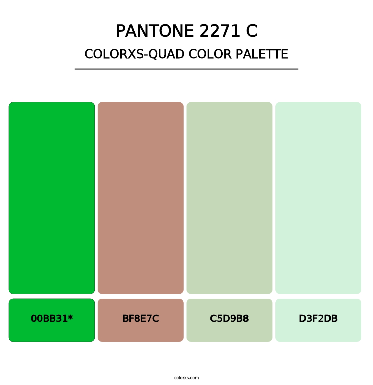 PANTONE 2271 C - Colorxs Quad Palette