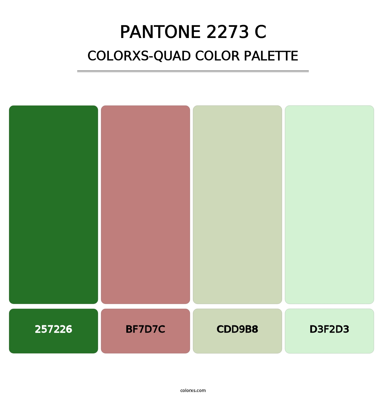 PANTONE 2273 C - Colorxs Quad Palette