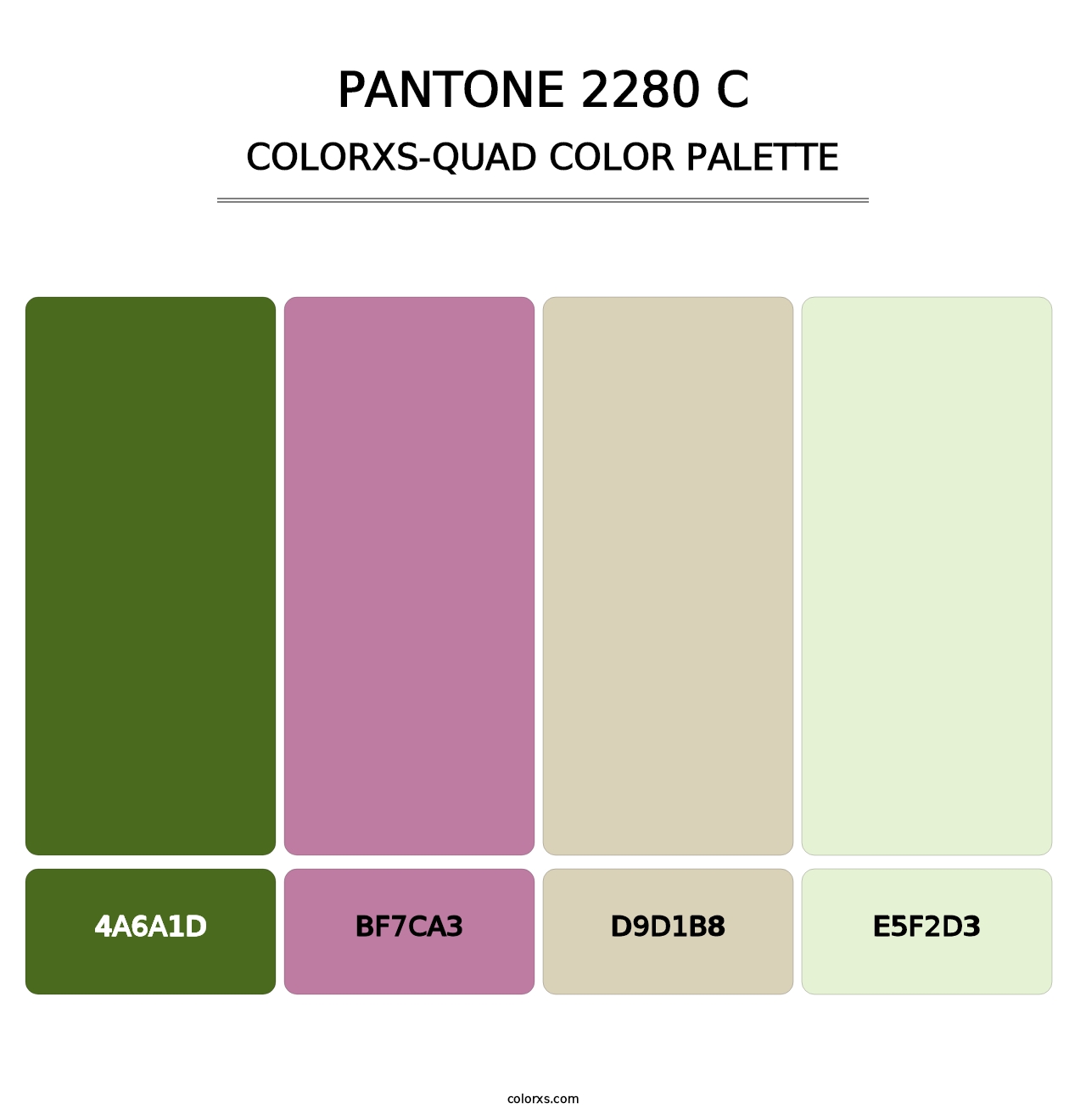PANTONE 2280 C - Colorxs Quad Palette