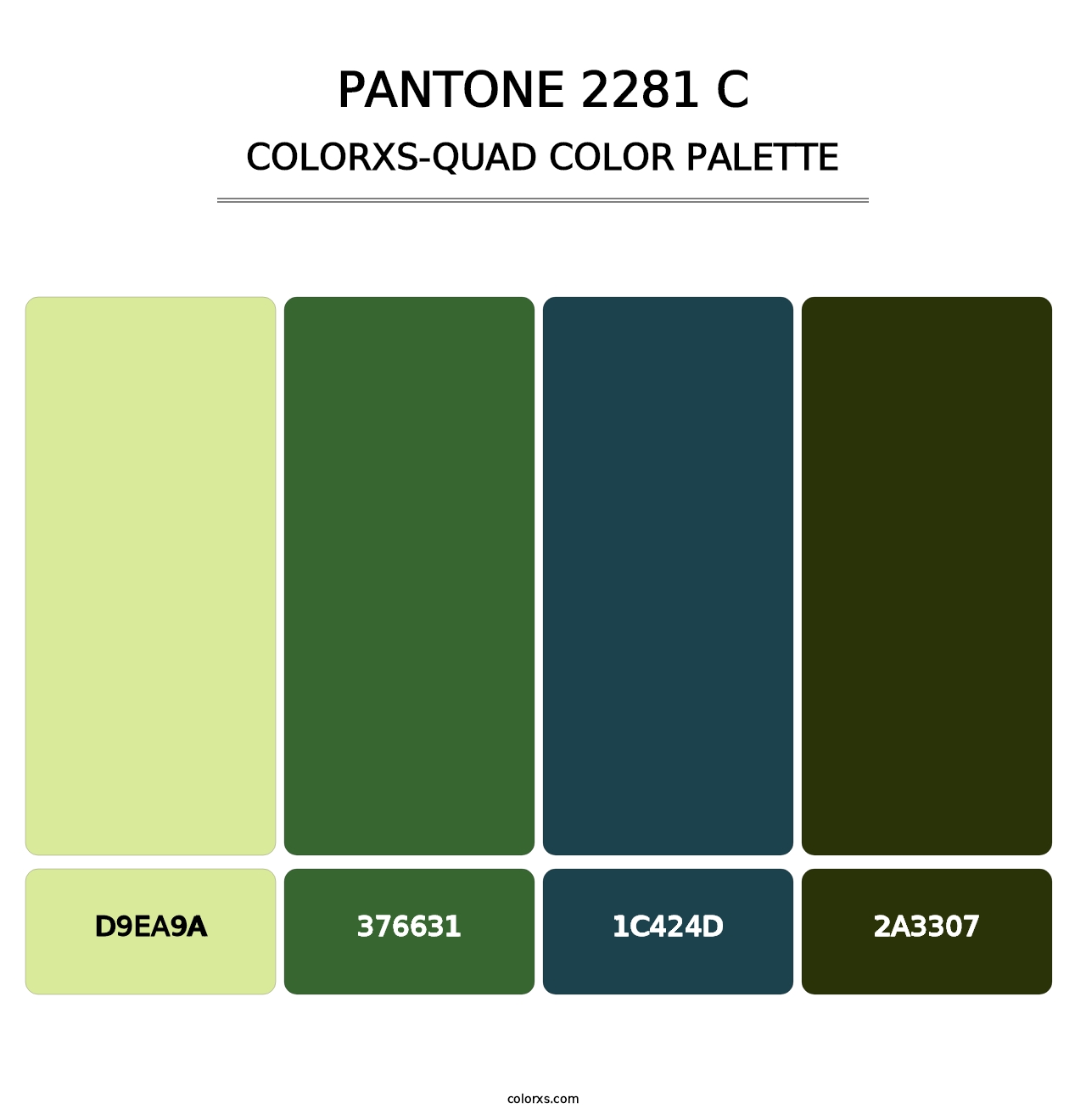 PANTONE 2281 C - Colorxs Quad Palette