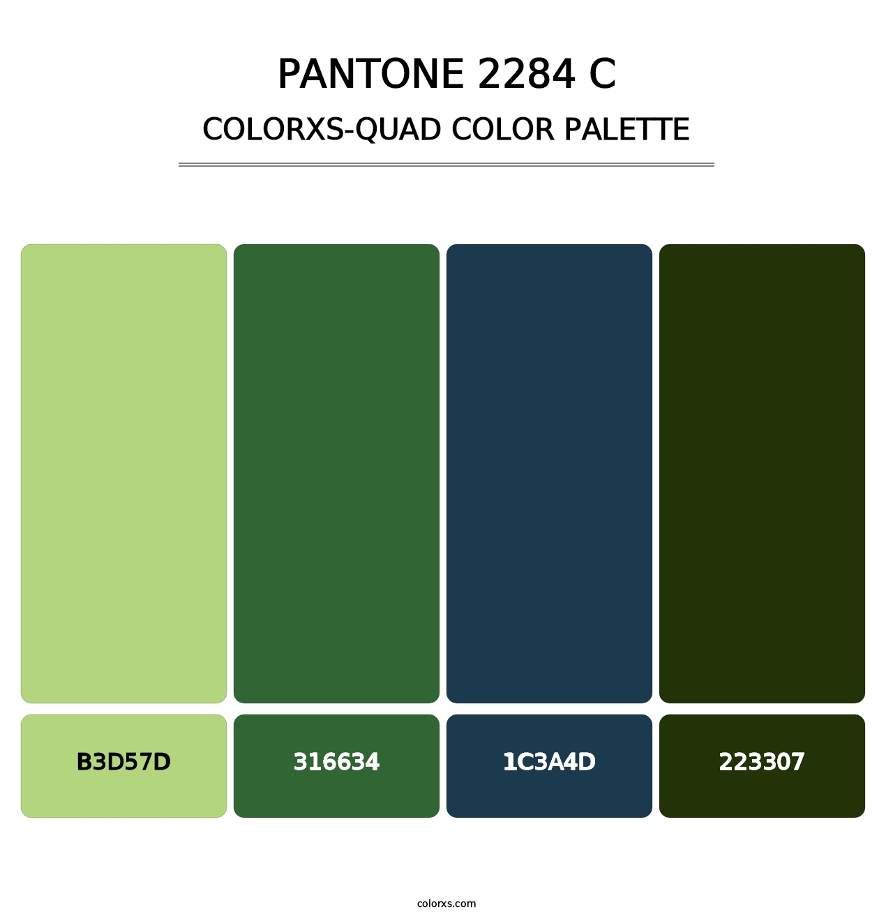 PANTONE 2284 C - Colorxs Quad Palette