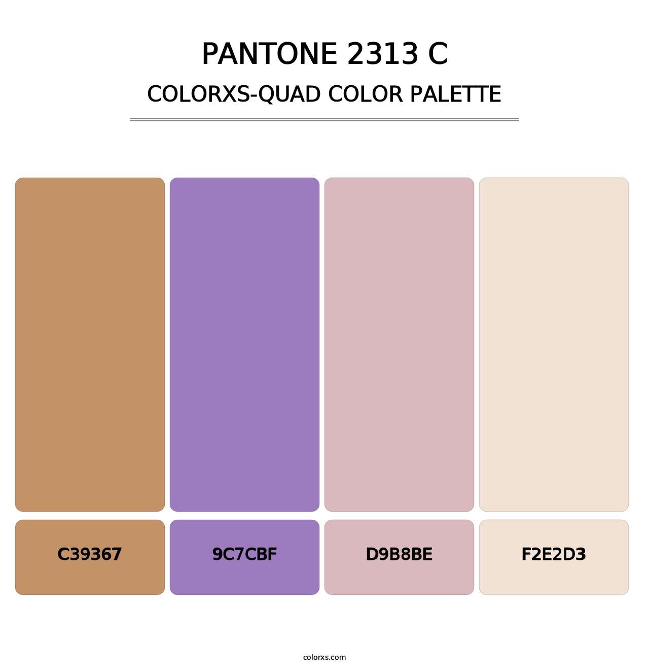 PANTONE 2313 C - Colorxs Quad Palette