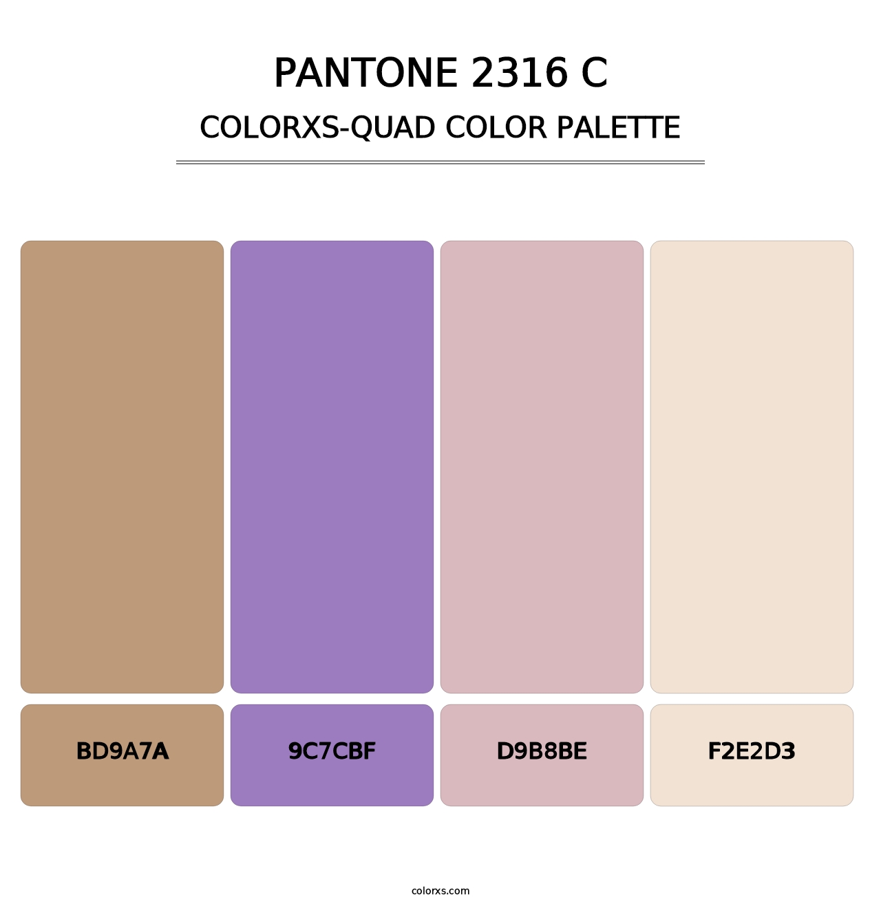 PANTONE 2316 C - Colorxs Quad Palette