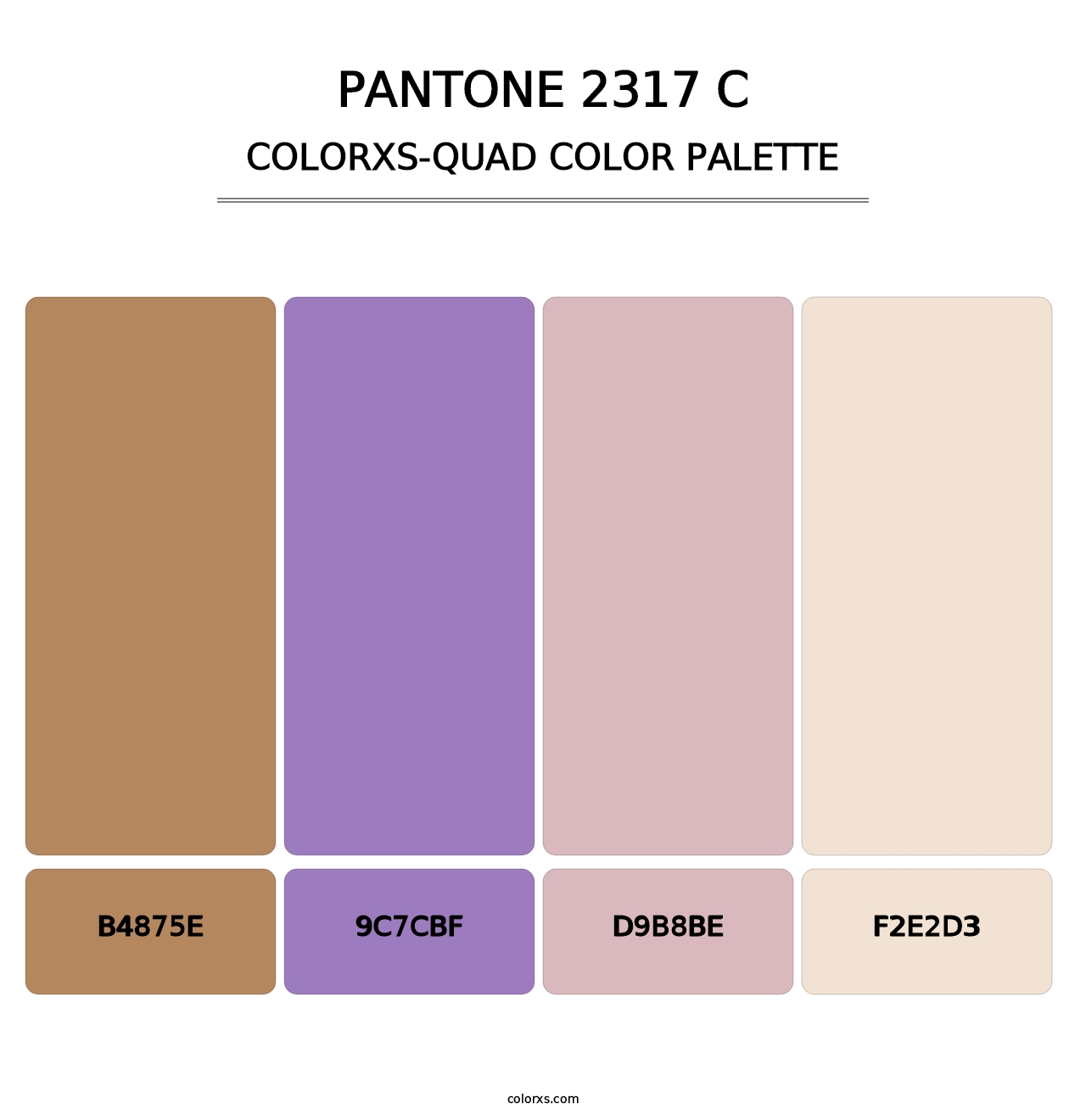 PANTONE 2317 C - Colorxs Quad Palette