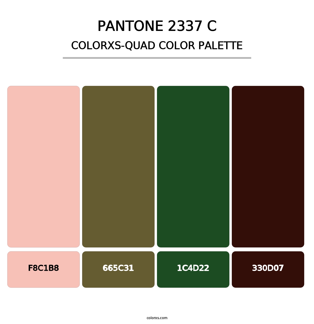 PANTONE 2337 C - Colorxs Quad Palette