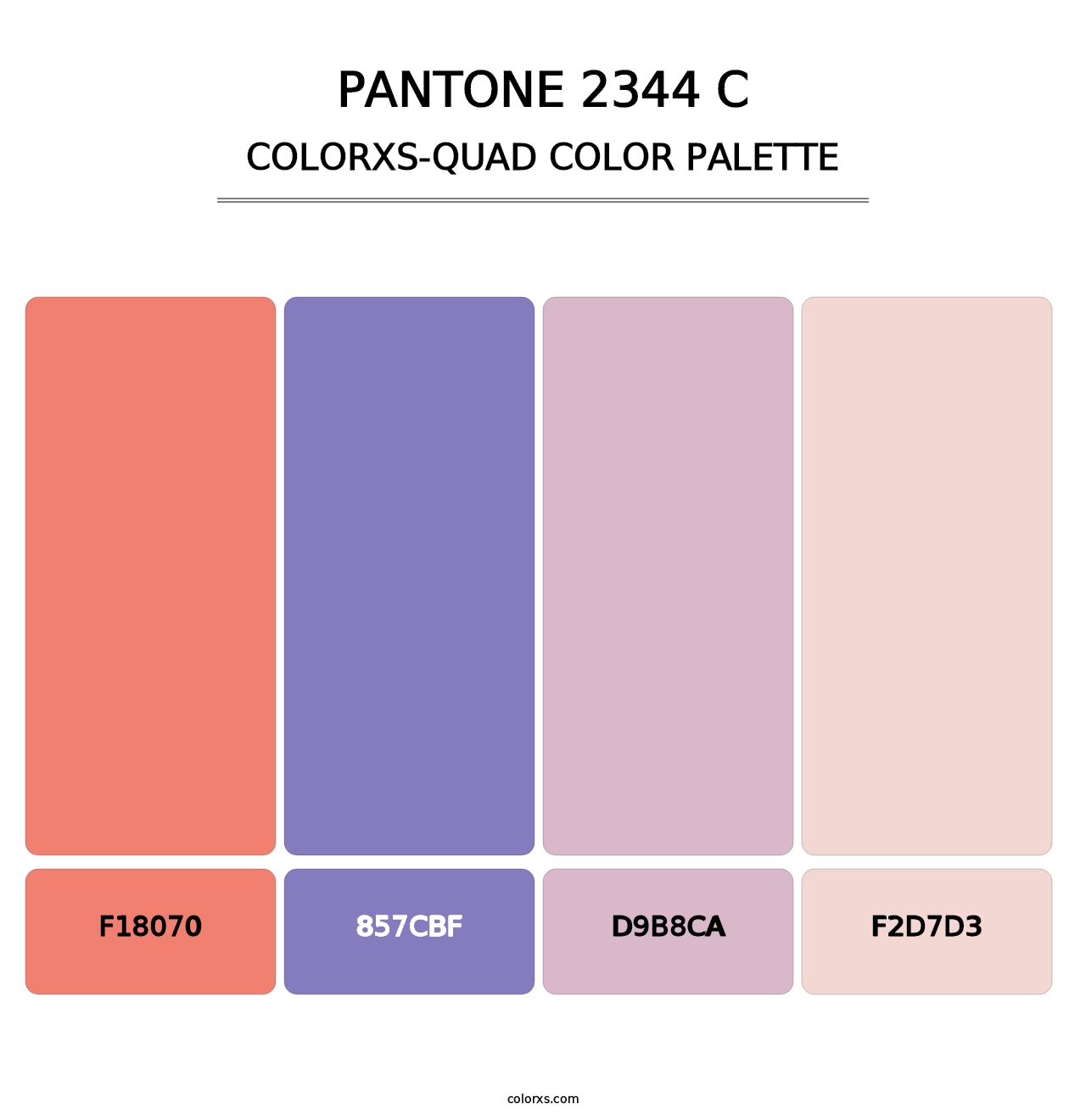 PANTONE 2344 C - Colorxs Quad Palette