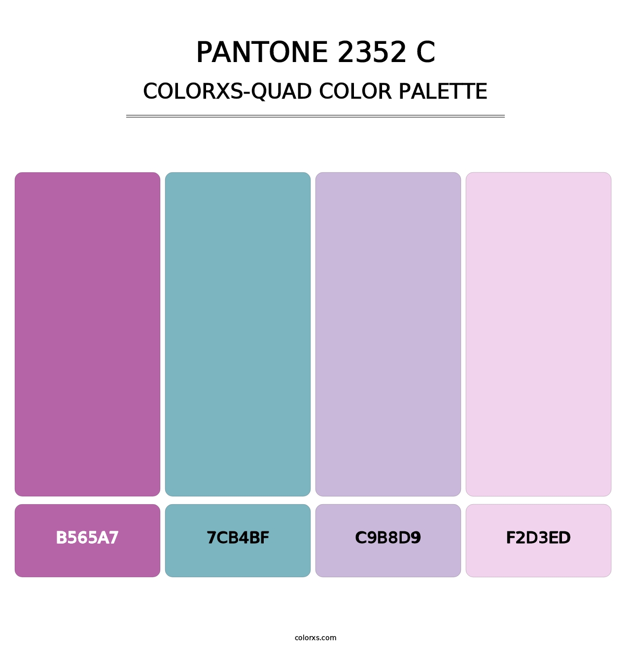 PANTONE 2352 C - Colorxs Quad Palette