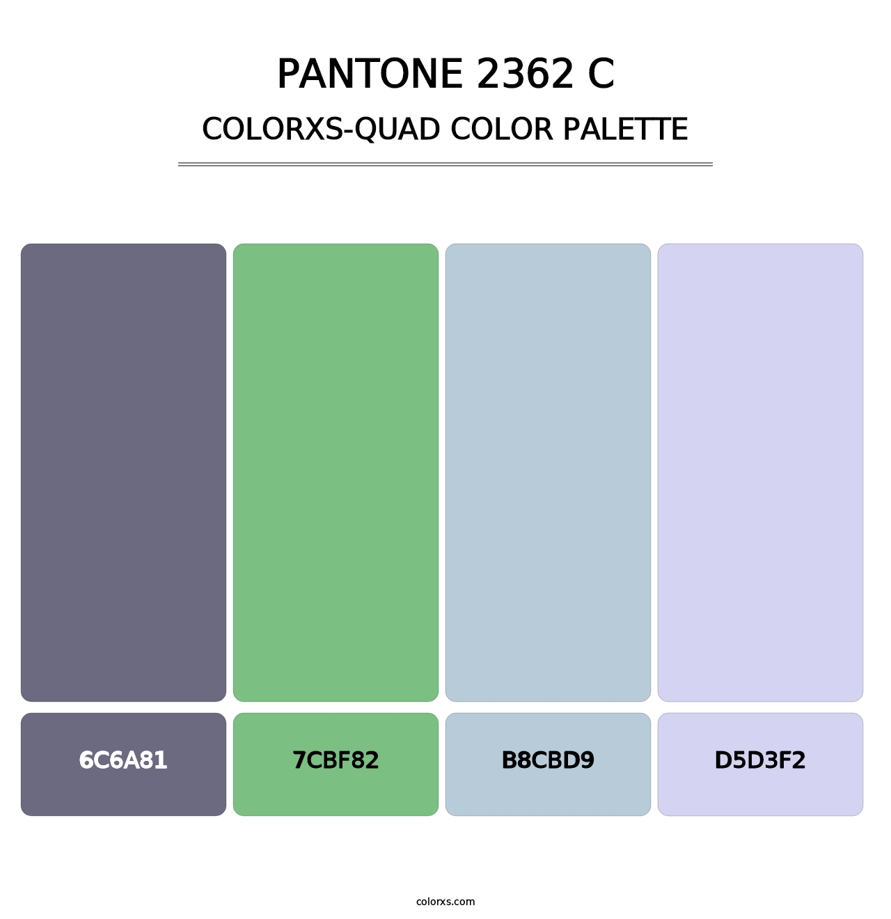 PANTONE 2362 C - Colorxs Quad Palette