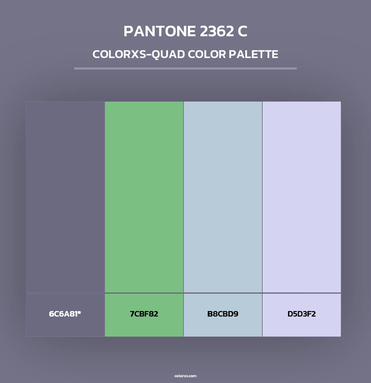 PANTONE 2362 C - Colorxs Quad Palette