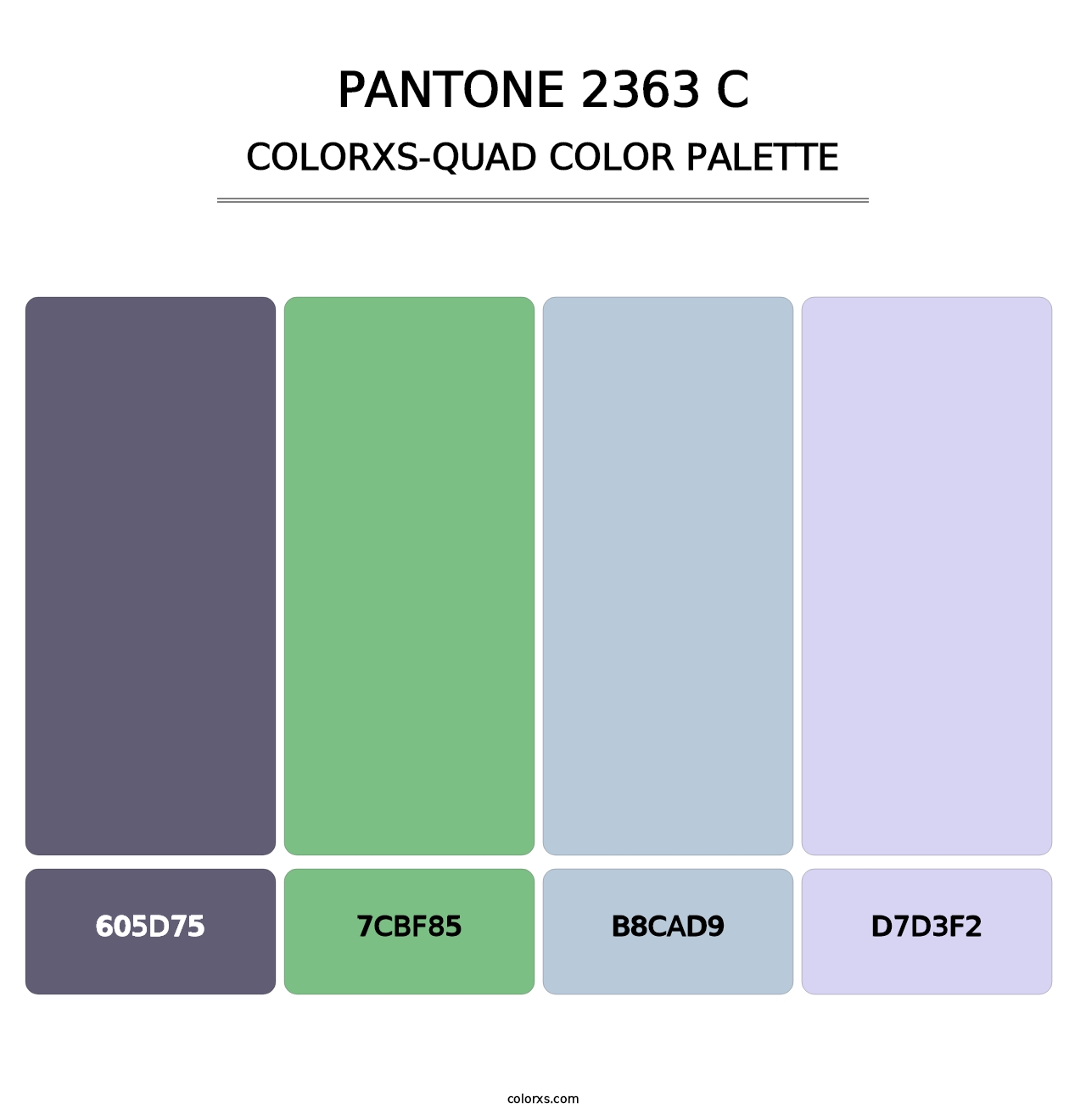 PANTONE 2363 C - Colorxs Quad Palette