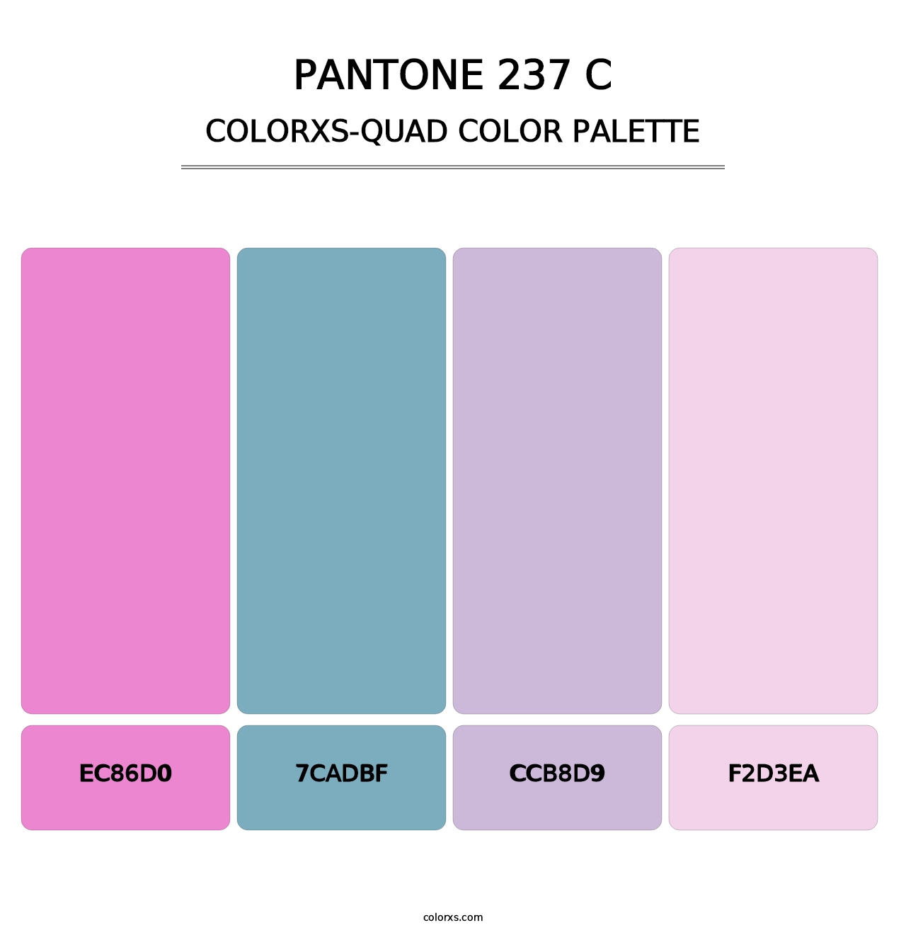 PANTONE 237 C - Colorxs Quad Palette