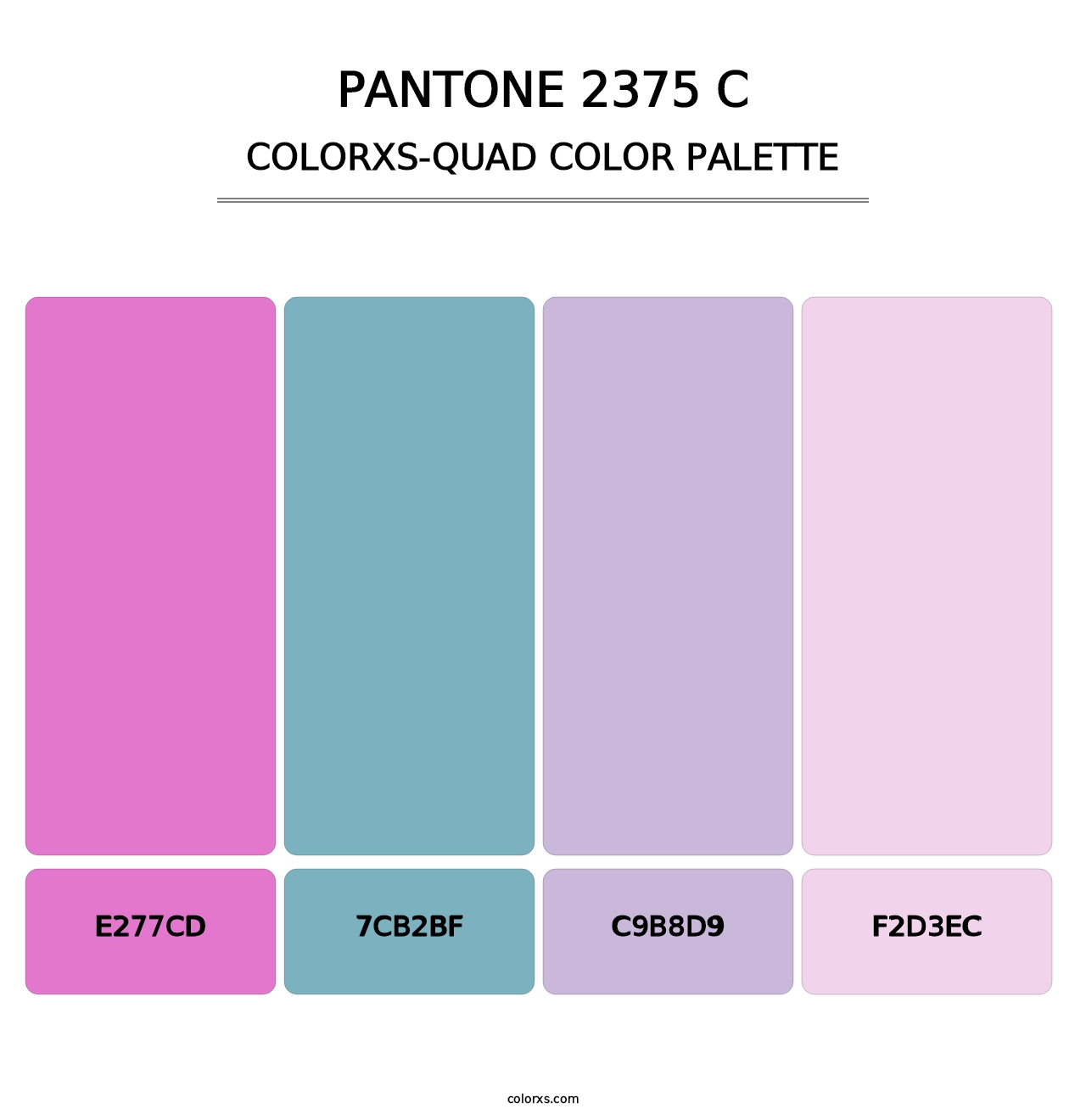 PANTONE 2375 C - Colorxs Quad Palette