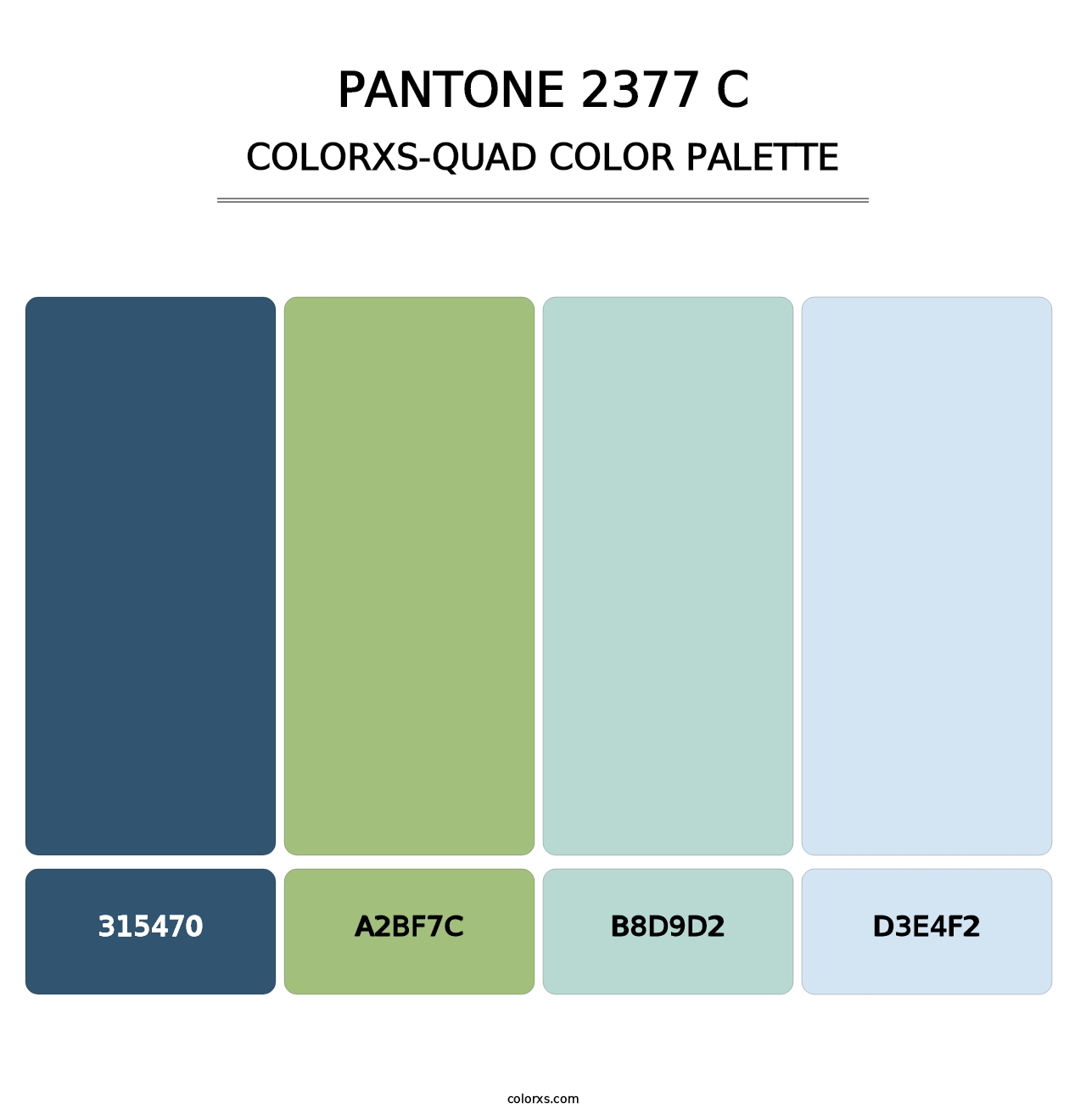 PANTONE 2377 C - Colorxs Quad Palette
