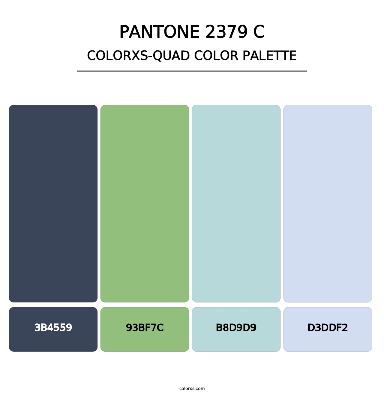 PANTONE 2379 C - Colorxs Quad Palette