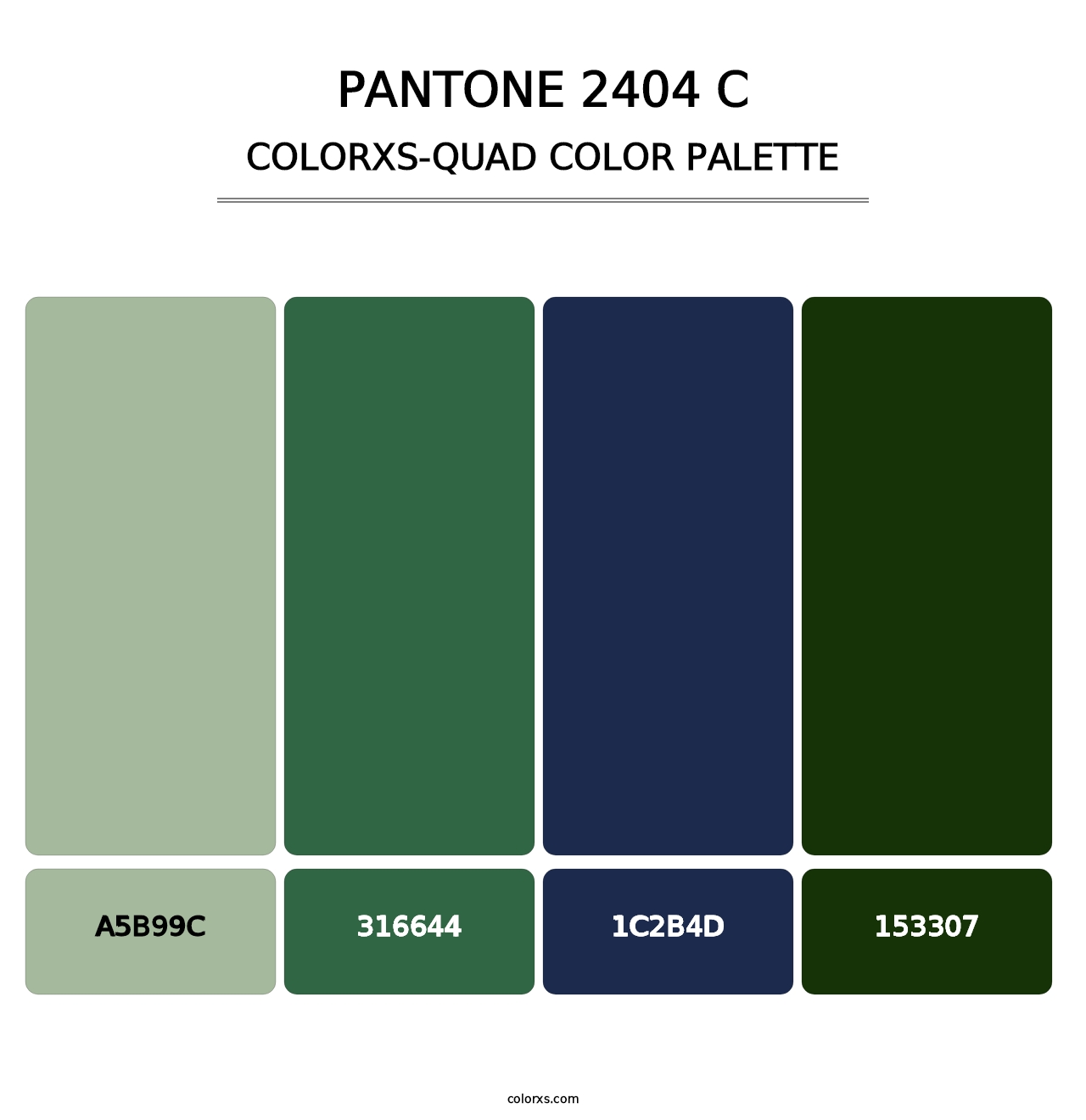 PANTONE 2404 C - Colorxs Quad Palette