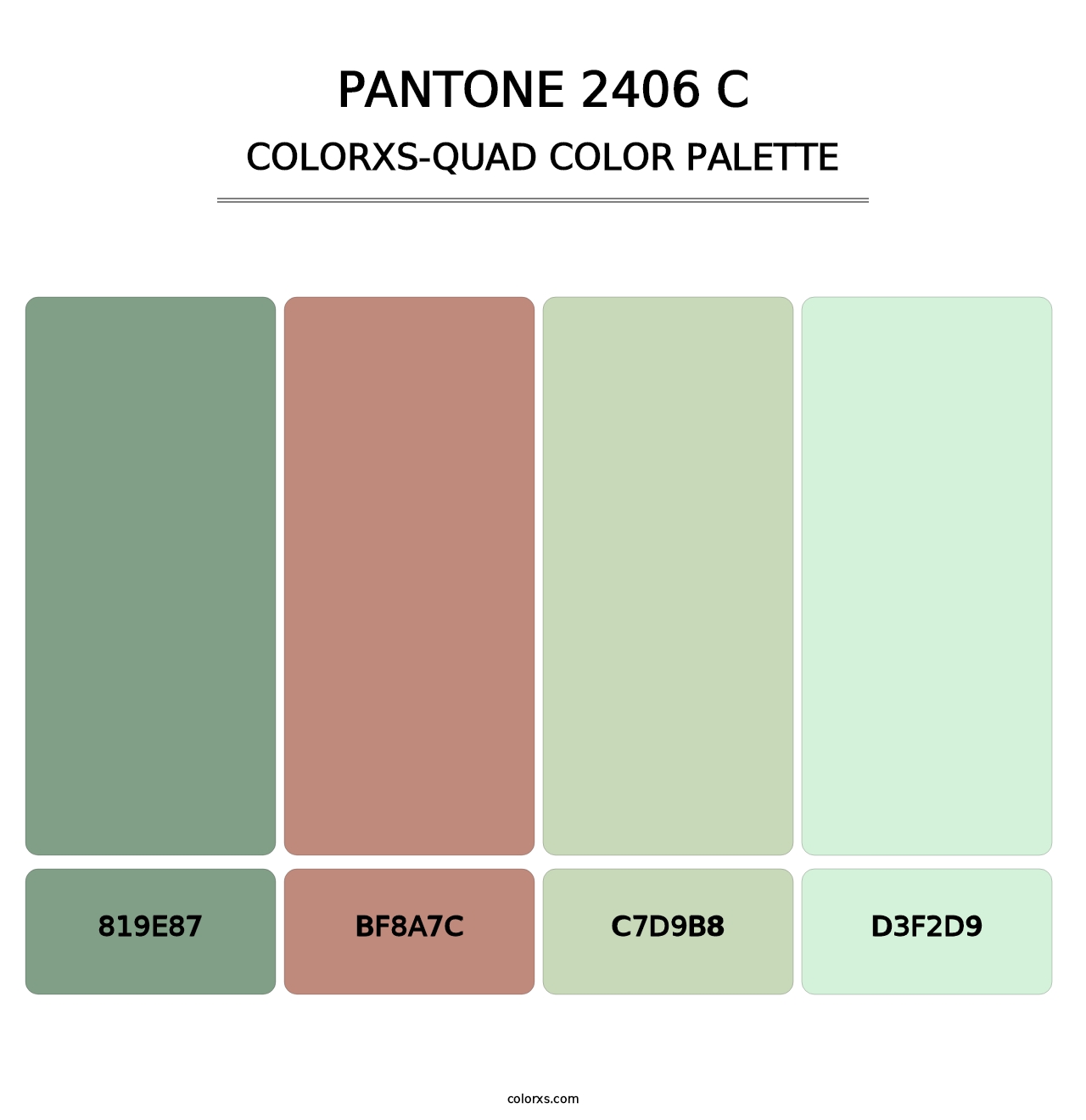 PANTONE 2406 C - Colorxs Quad Palette
