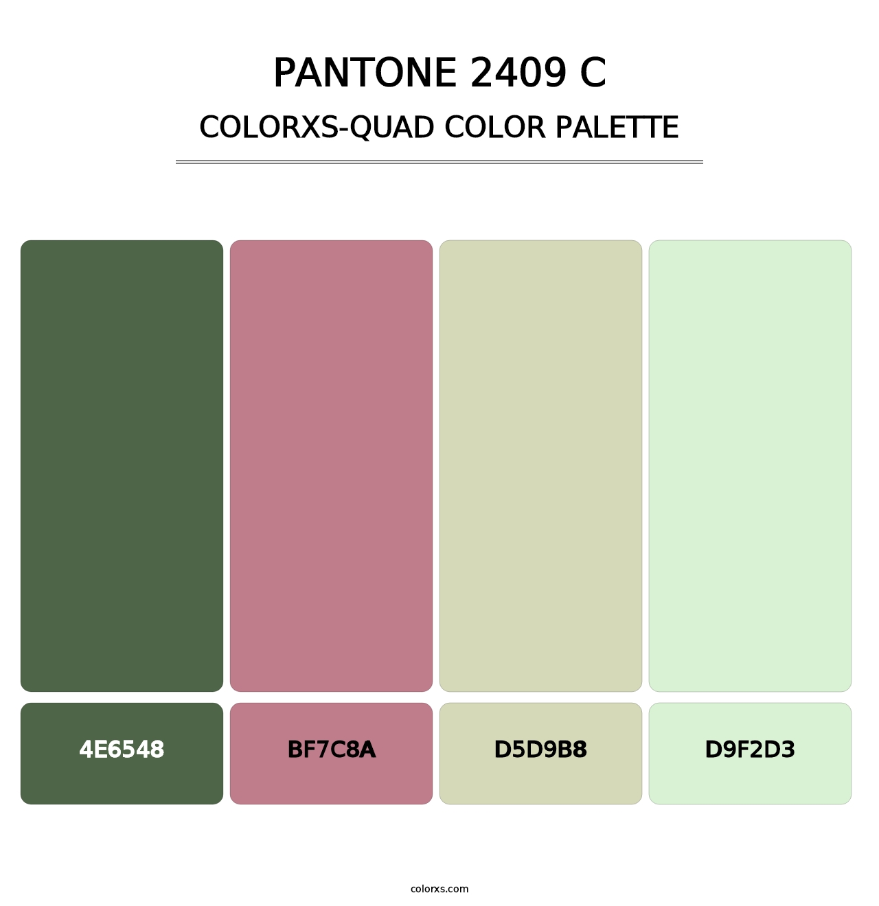 PANTONE 2409 C - Colorxs Quad Palette