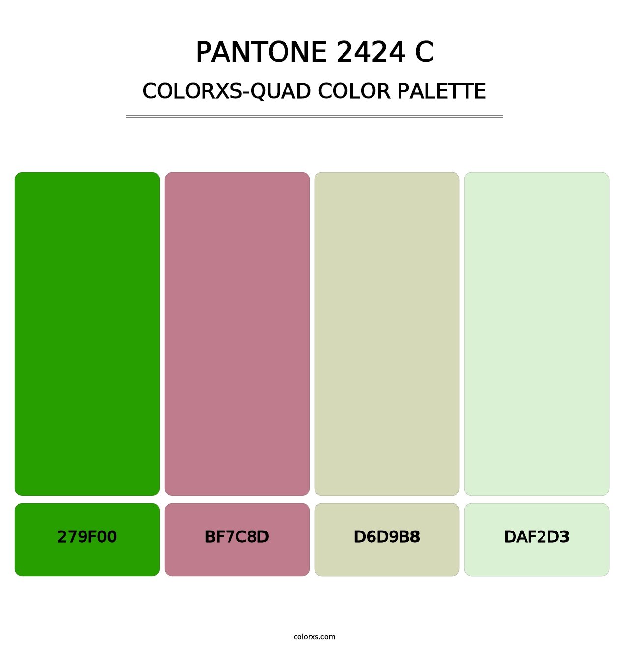PANTONE 2424 C - Colorxs Quad Palette