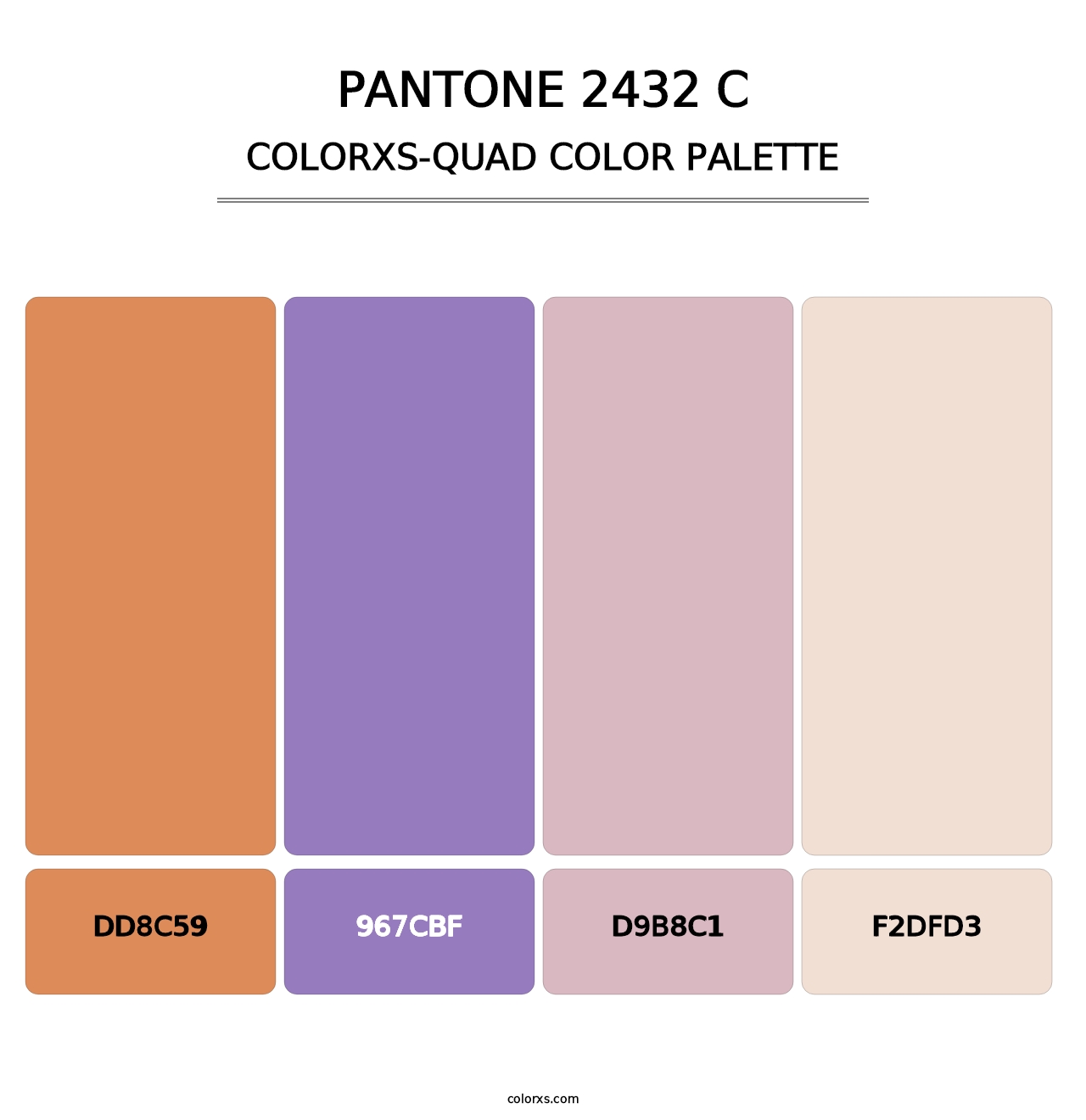 PANTONE 2432 C - Colorxs Quad Palette