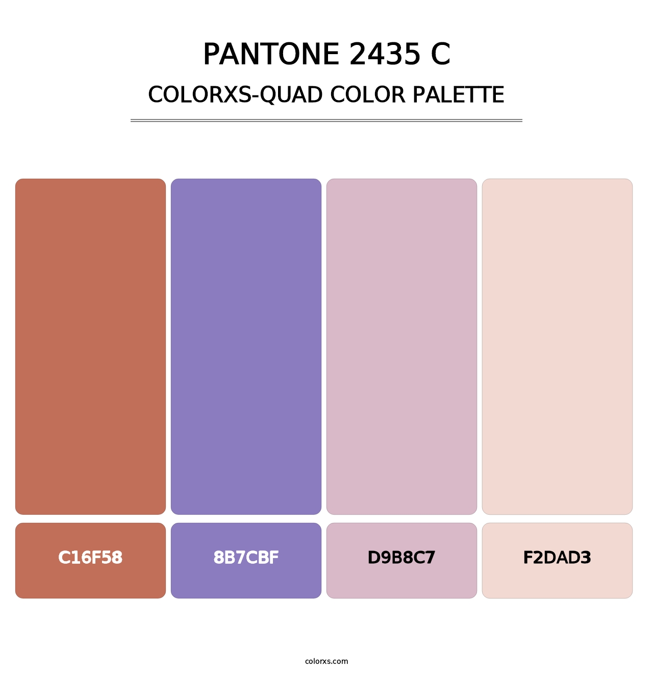 PANTONE 2435 C - Colorxs Quad Palette