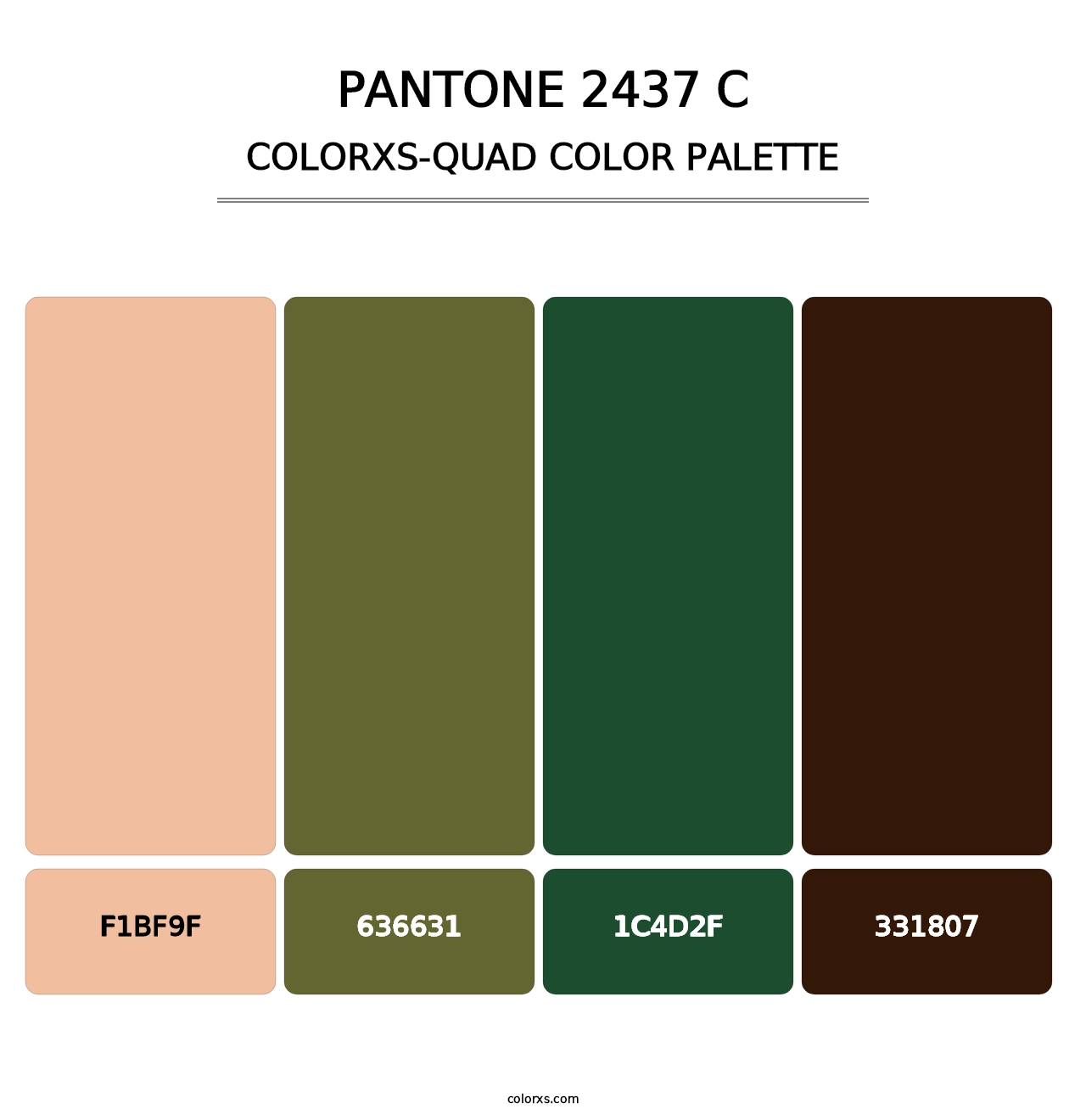 PANTONE 2437 C - Colorxs Quad Palette
