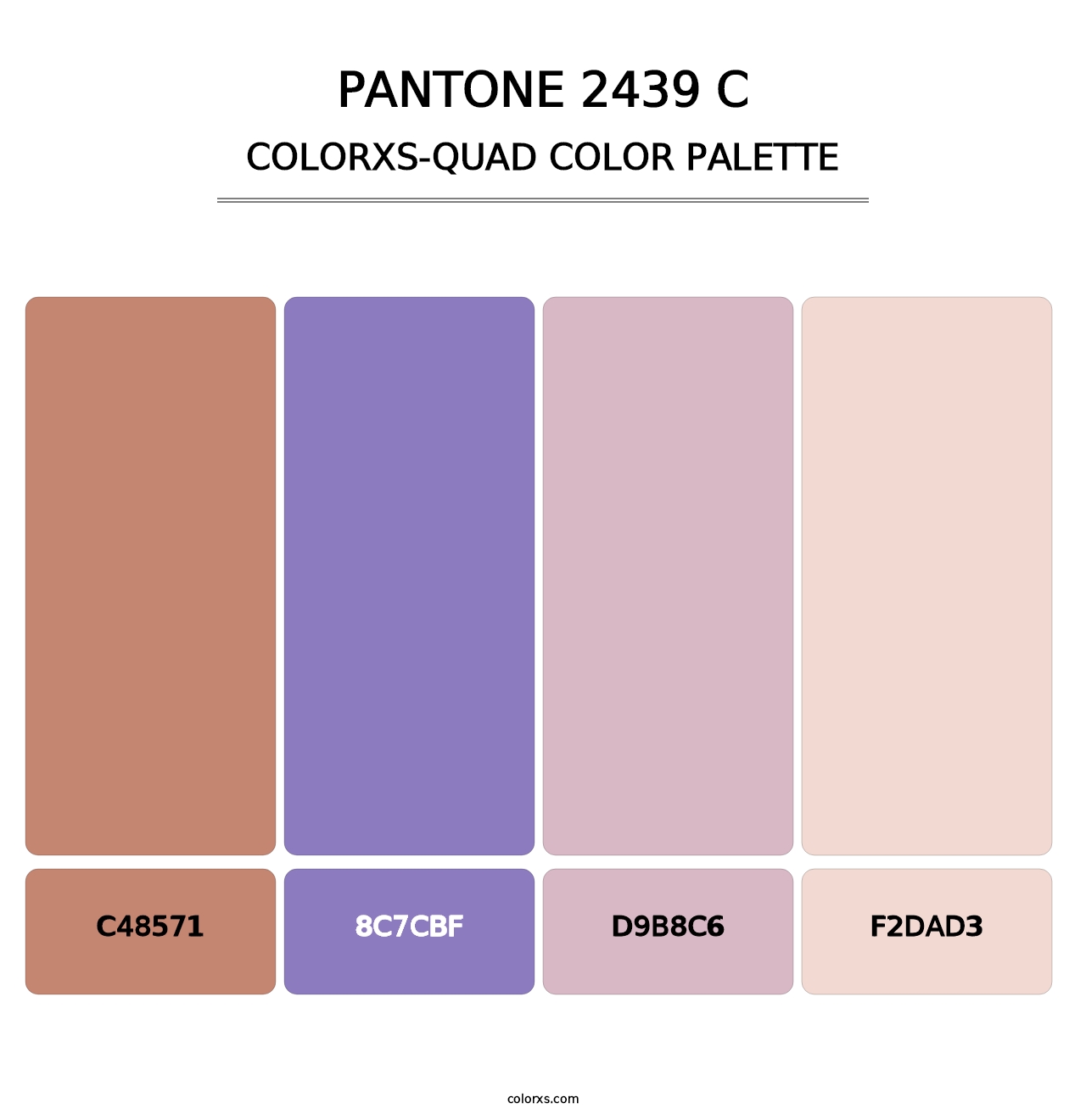 PANTONE 2439 C - Colorxs Quad Palette
