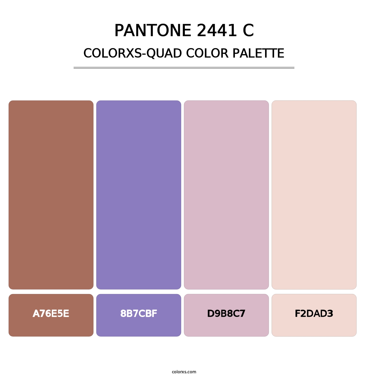 PANTONE 2441 C - Colorxs Quad Palette