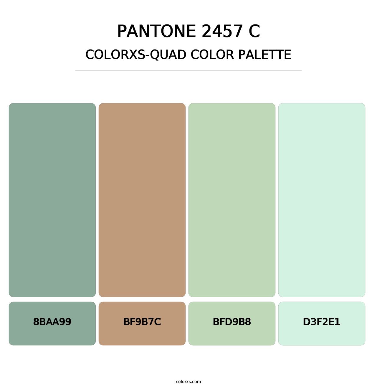 PANTONE 2457 C - Colorxs Quad Palette