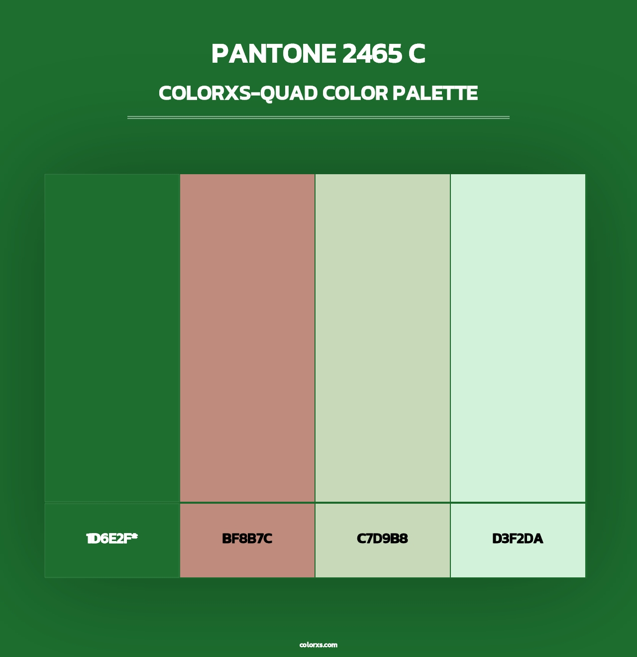 PANTONE 2465 C - Colorxs Quad Palette
