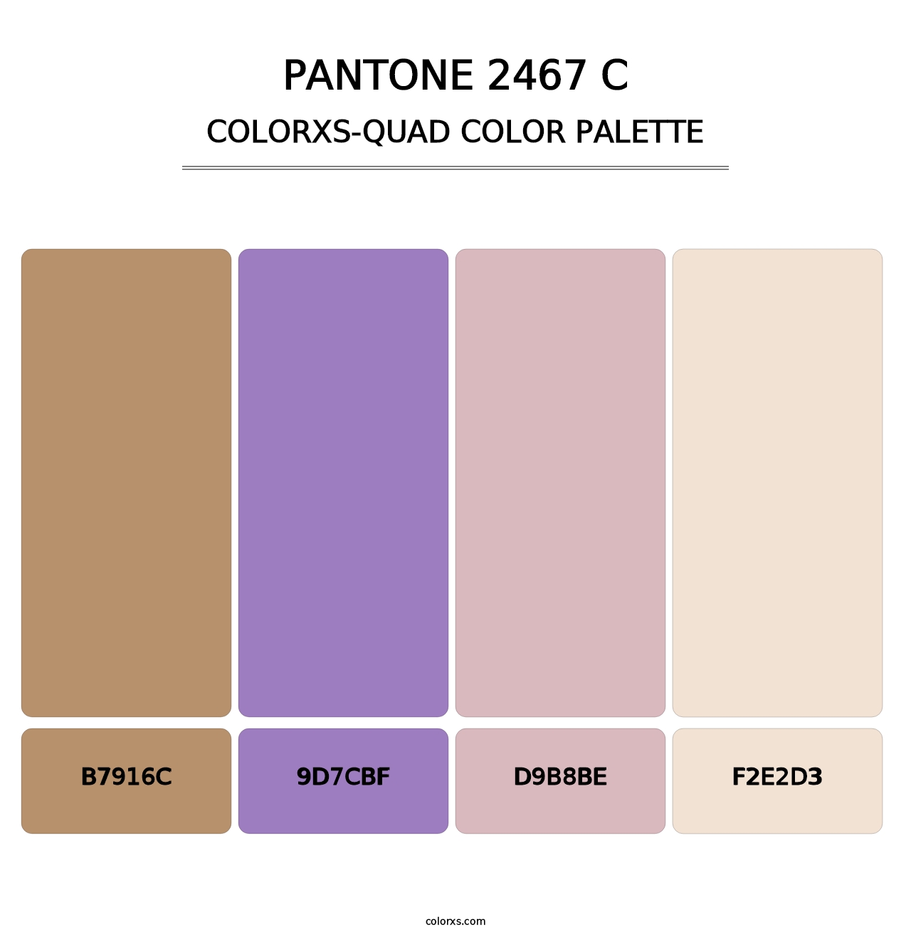 PANTONE 2467 C - Colorxs Quad Palette