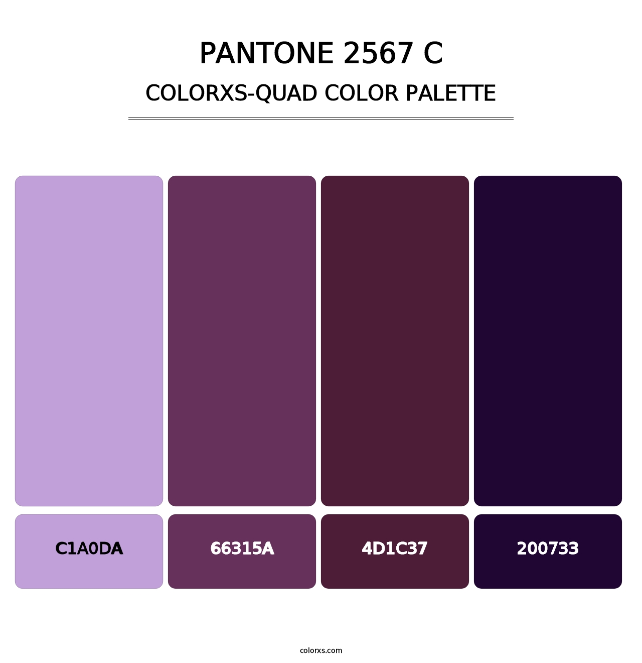 PANTONE 2567 C - Colorxs Quad Palette