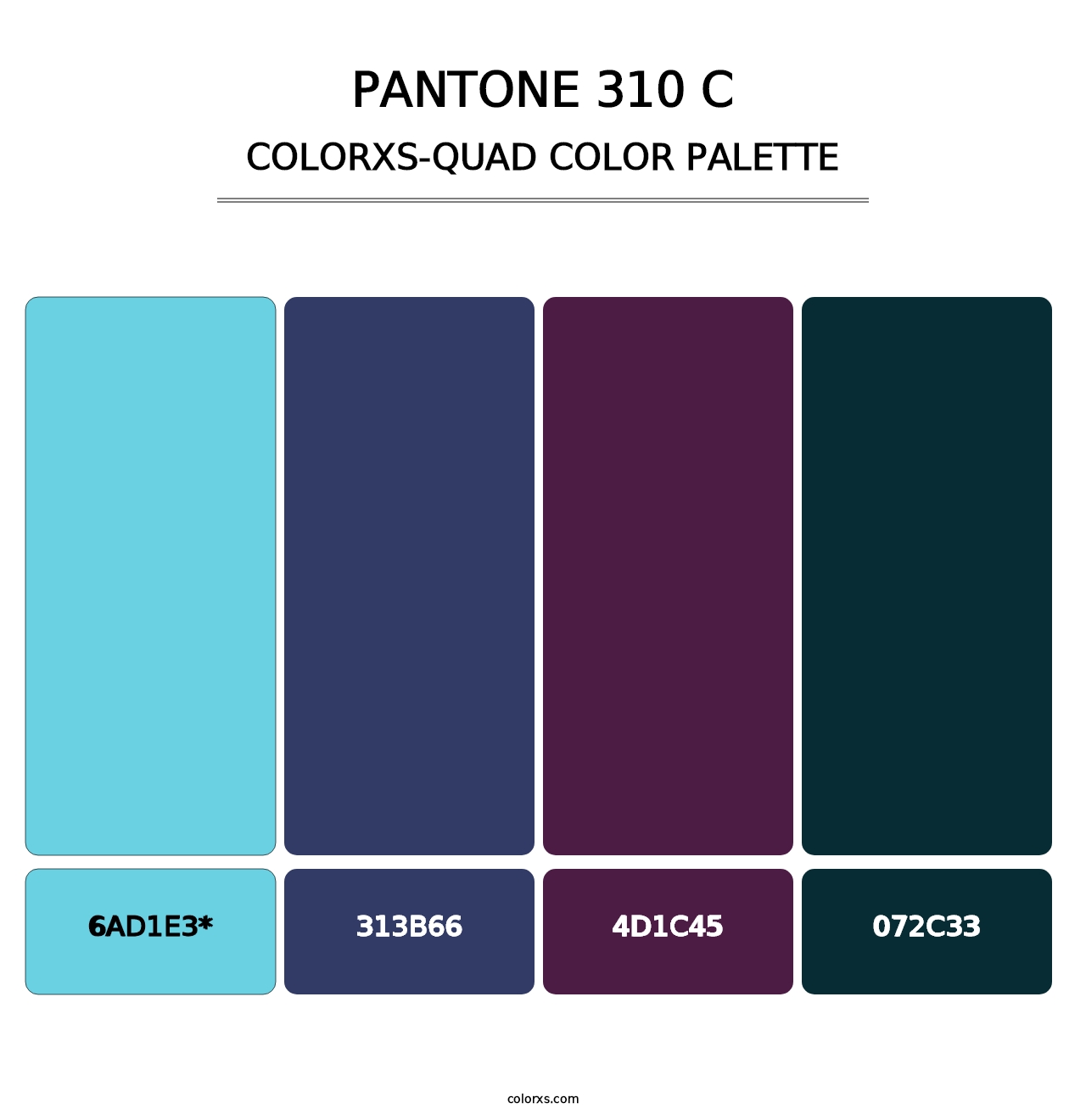 PANTONE 310 C - Colorxs Quad Palette