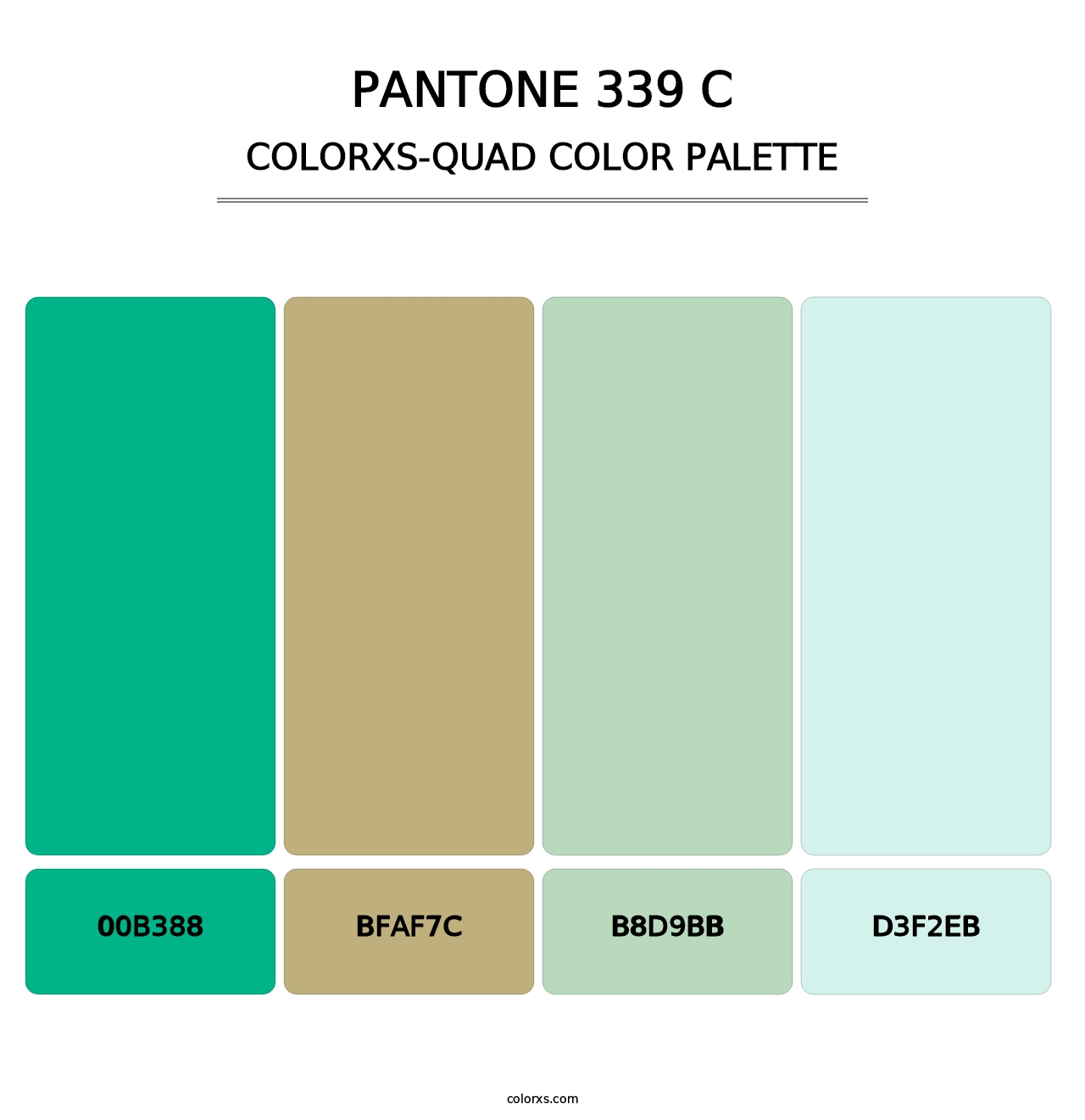 PANTONE 339 C - Colorxs Quad Palette
