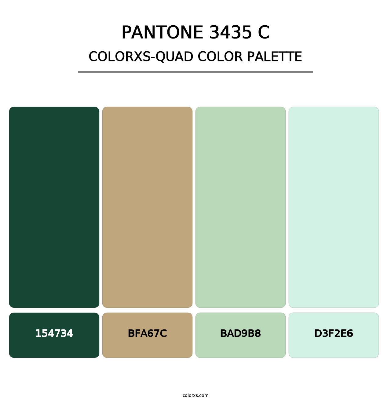 PANTONE 3435 C - Colorxs Quad Palette