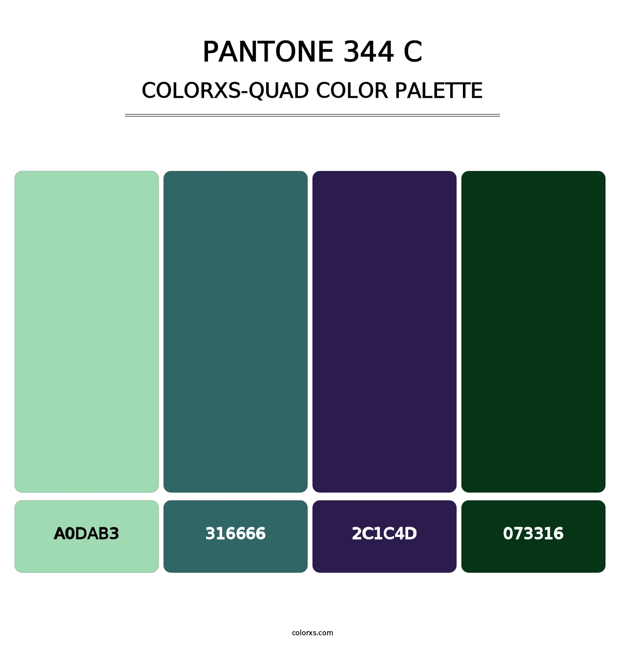 PANTONE 344 C - Colorxs Quad Palette