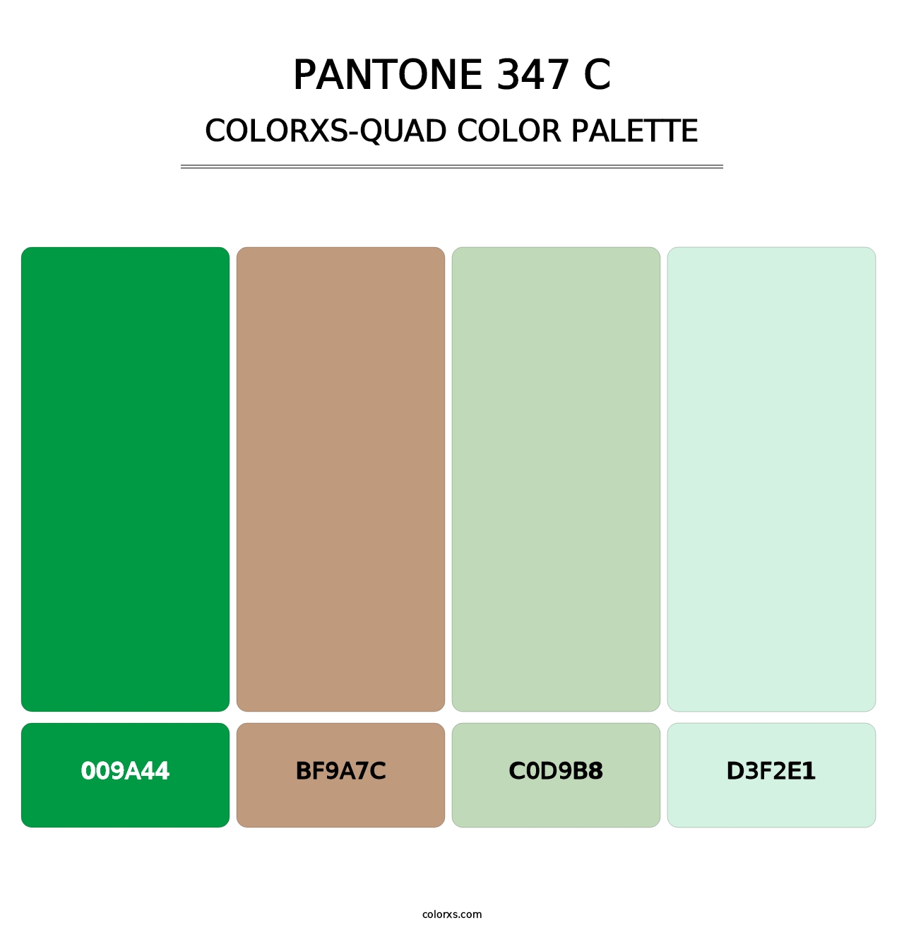 PANTONE 347 C - Colorxs Quad Palette