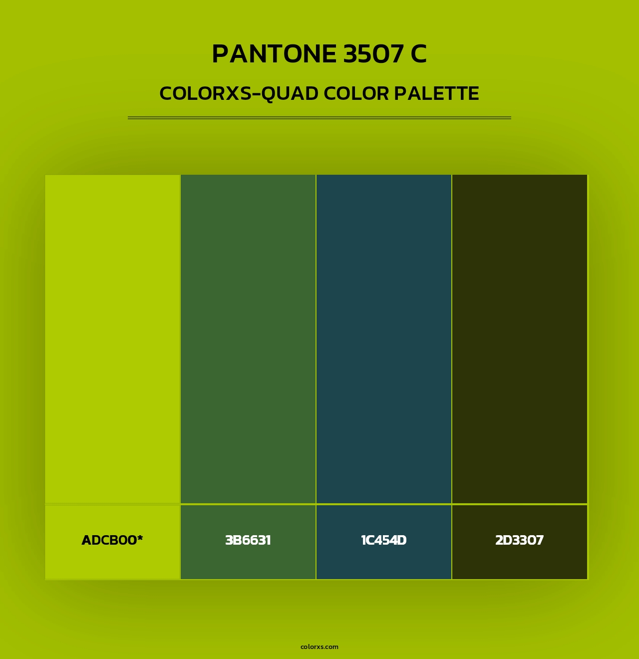 PANTONE 3507 C - Colorxs Quad Palette