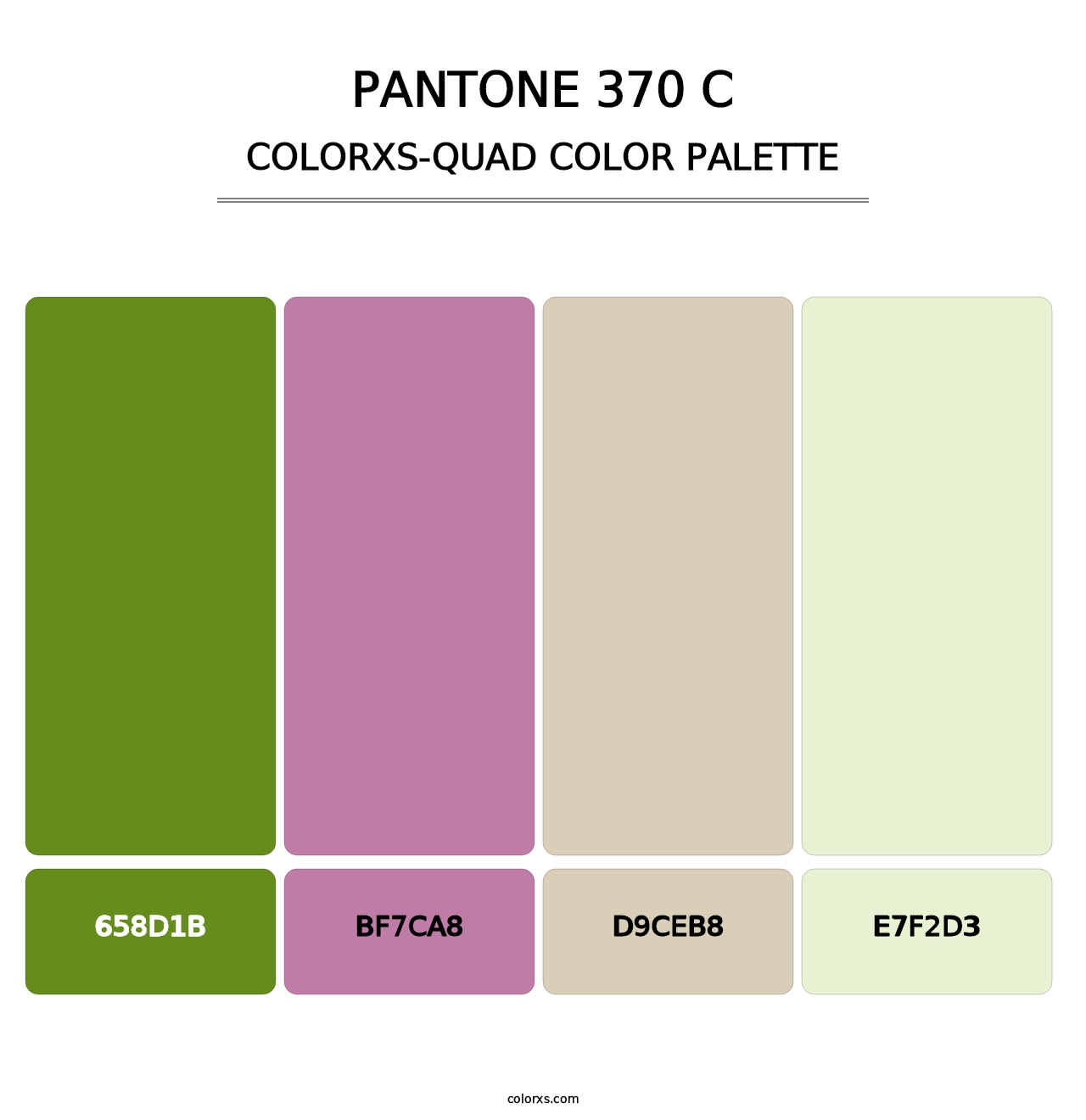 PANTONE 370 C - Colorxs Quad Palette