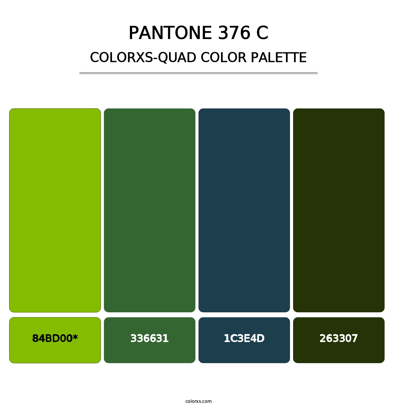 PANTONE 376 C - Colorxs Quad Palette