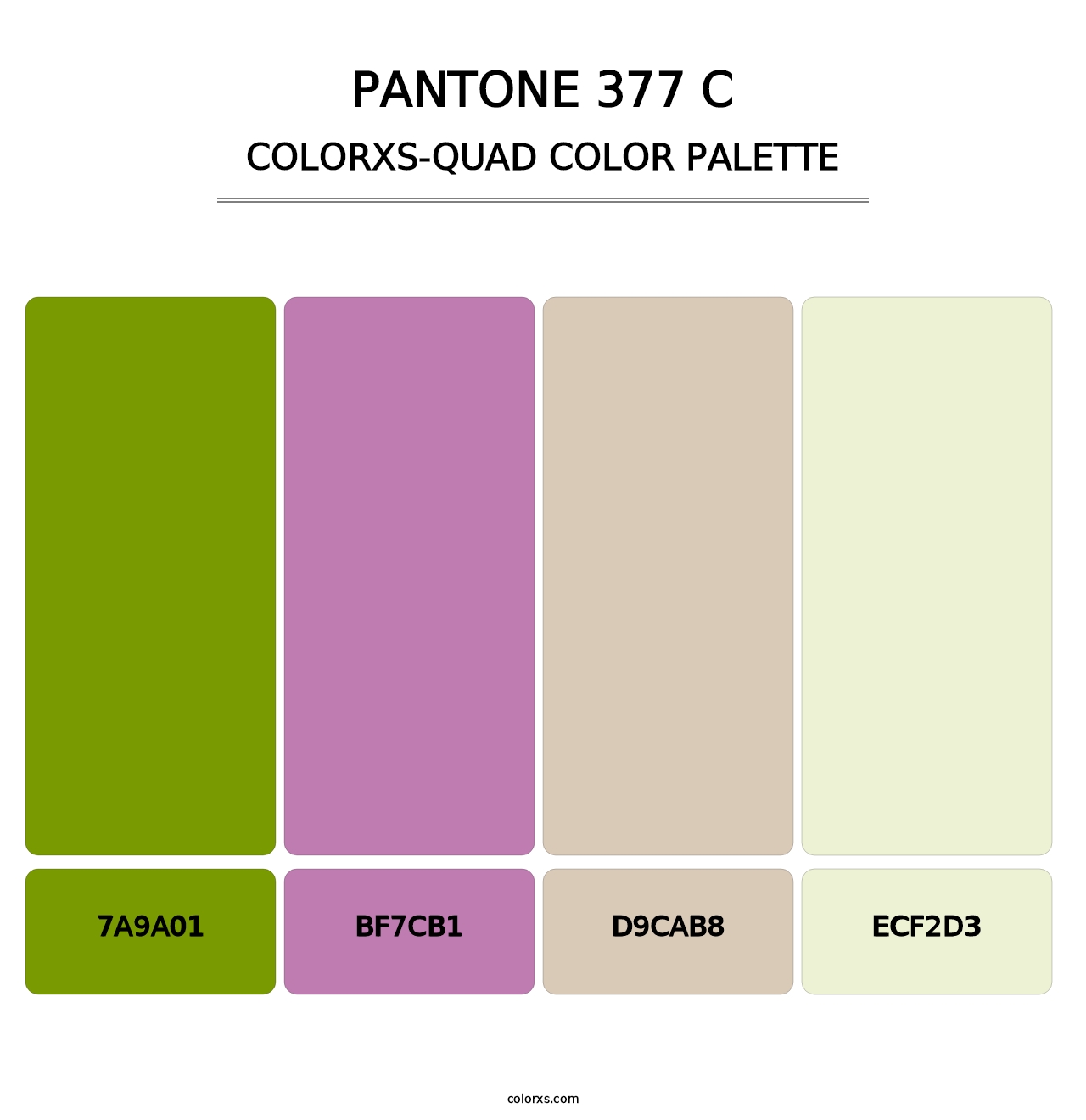 PANTONE 377 C - Colorxs Quad Palette