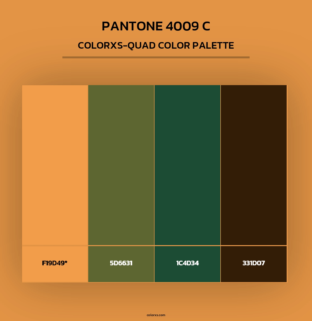 PANTONE 4009 C - Colorxs Quad Palette